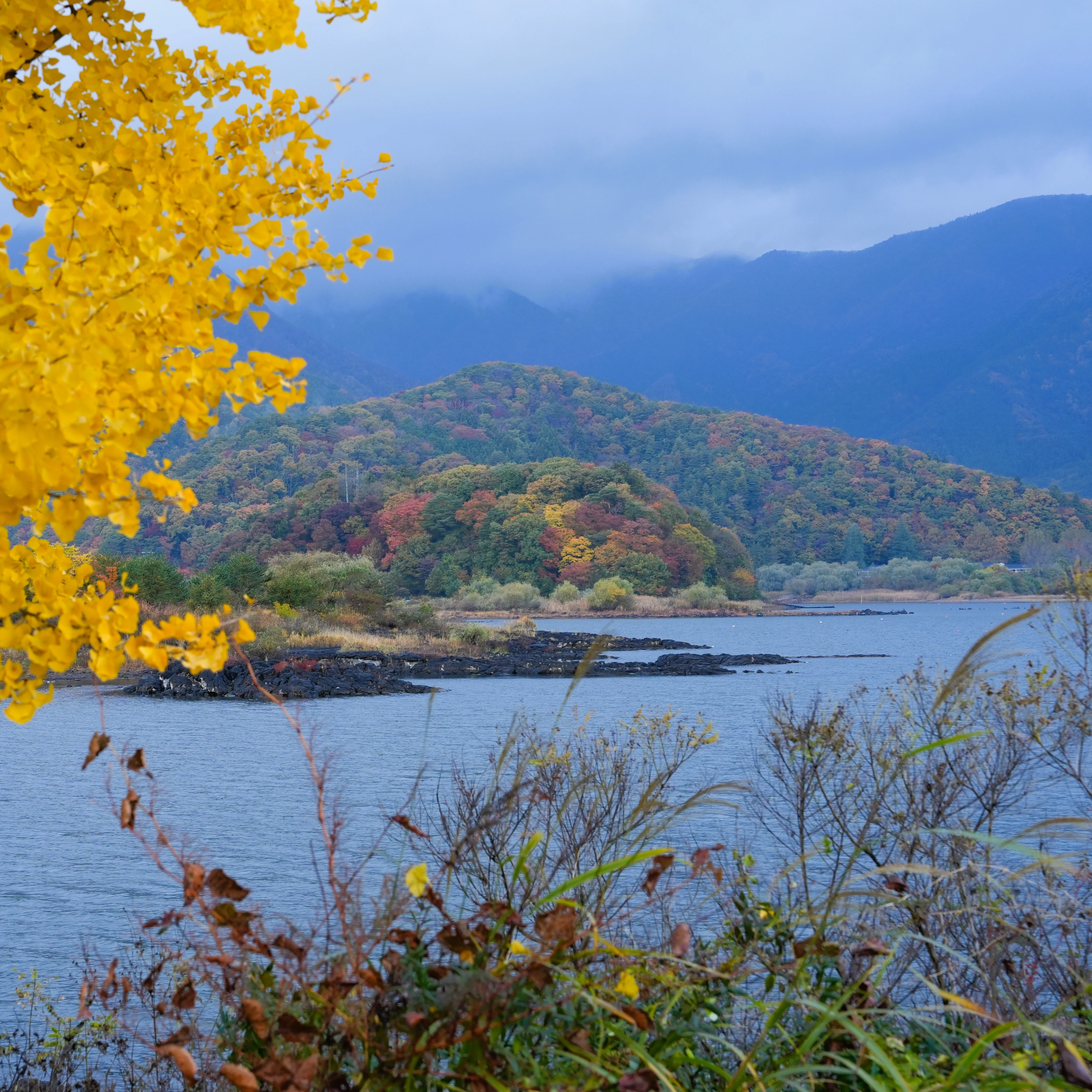 DSC09171, Kawaguchiko, Japan — photo by Jim Bennett