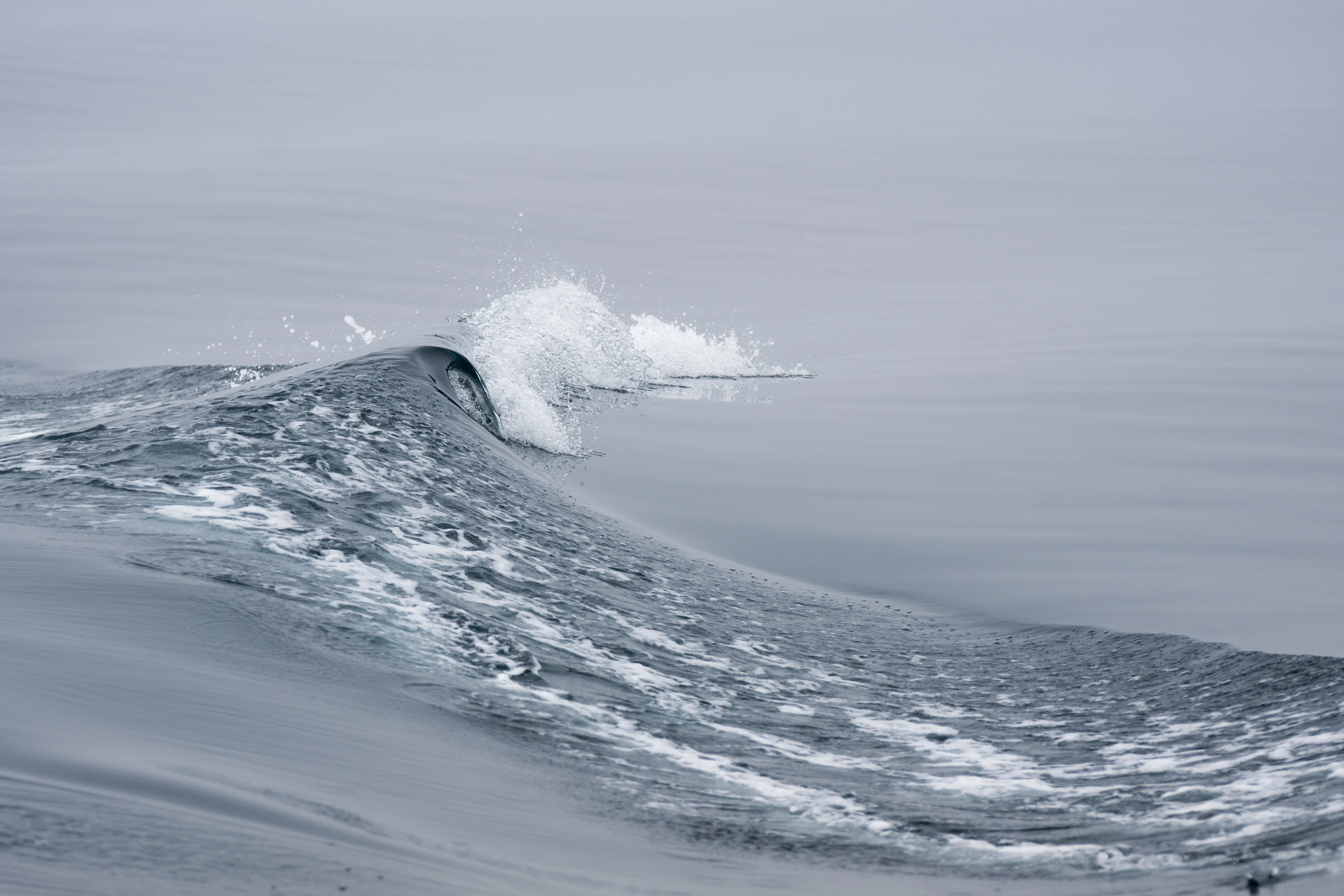 Wake from the Yell Ferry, Shetland, UK — photo by Jim Bennett
