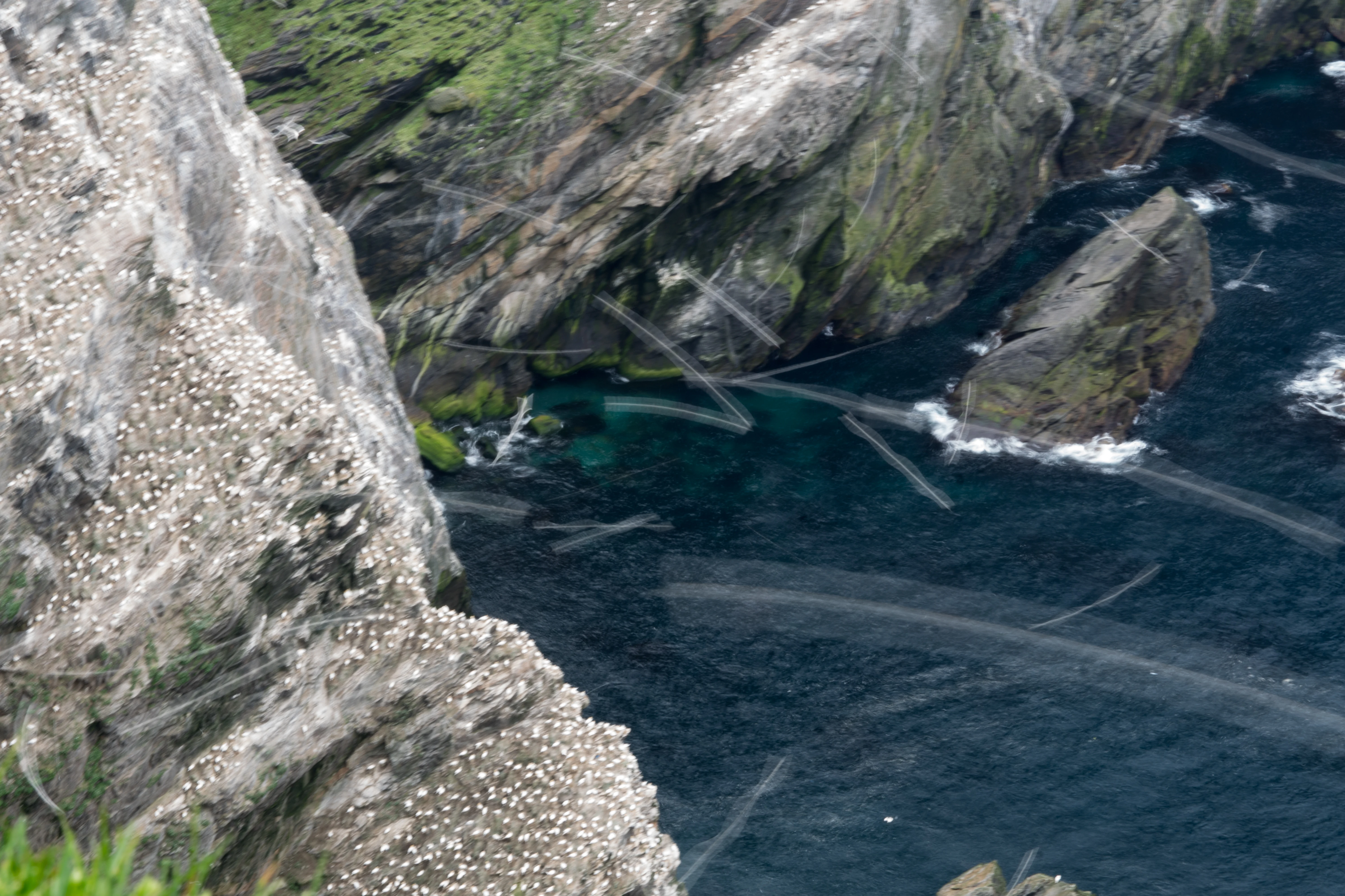 Time lapse of the gannet colony, Hermaness, Unst, UK — photo by Jim Bennett