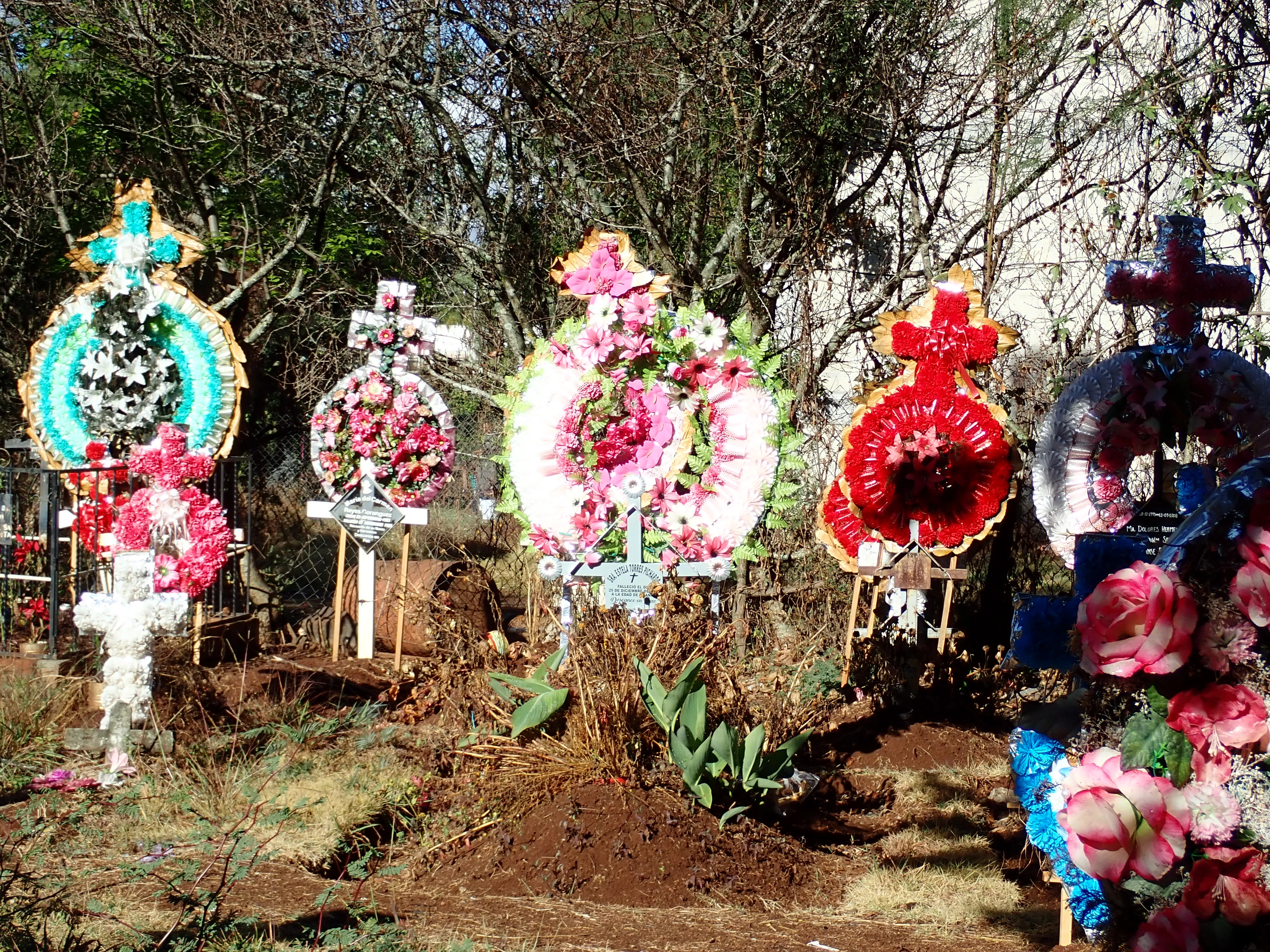 P2060324, Cemetery, Michoacan, Mexico — photo by Jim Bennett