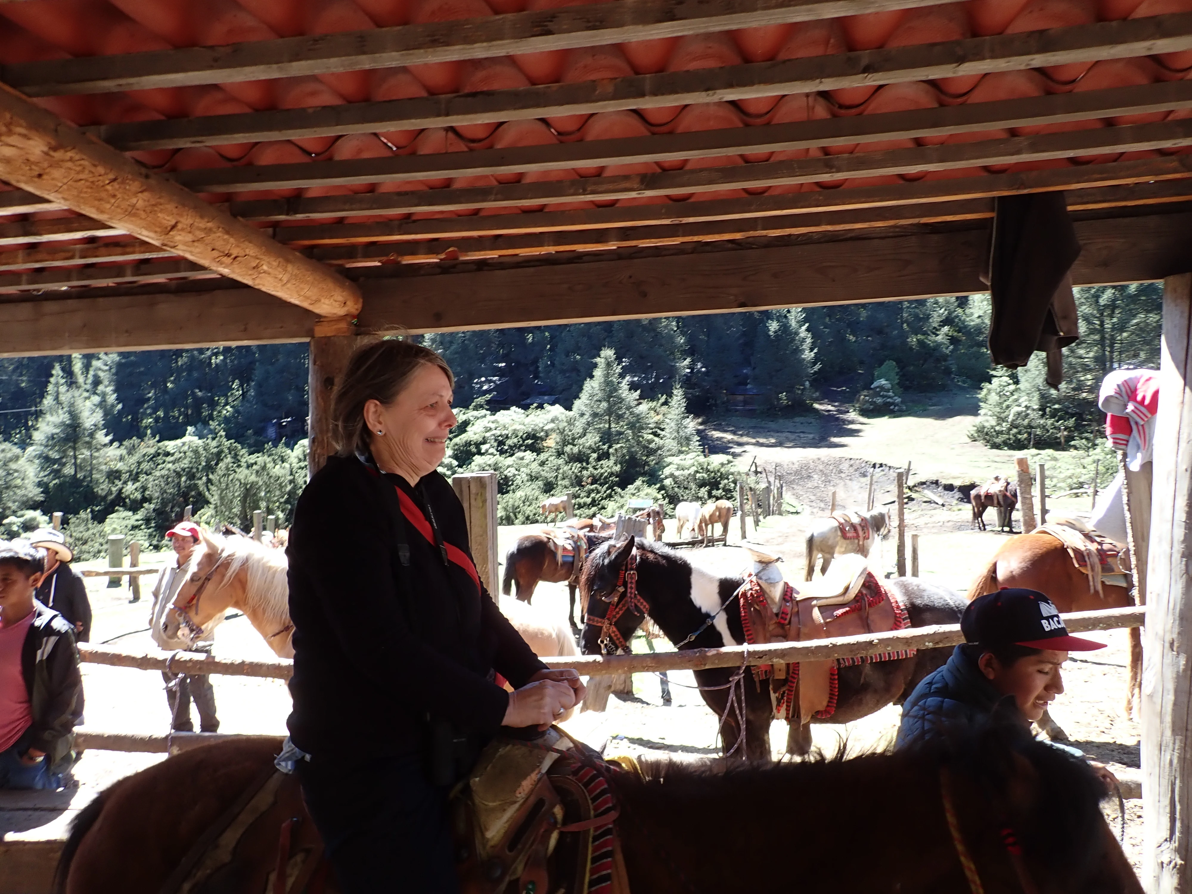 Sara looking forward to her ride, Sierra Chincua Monarch Reserve, Michoacan, Mexico — photo by Jim Bennett