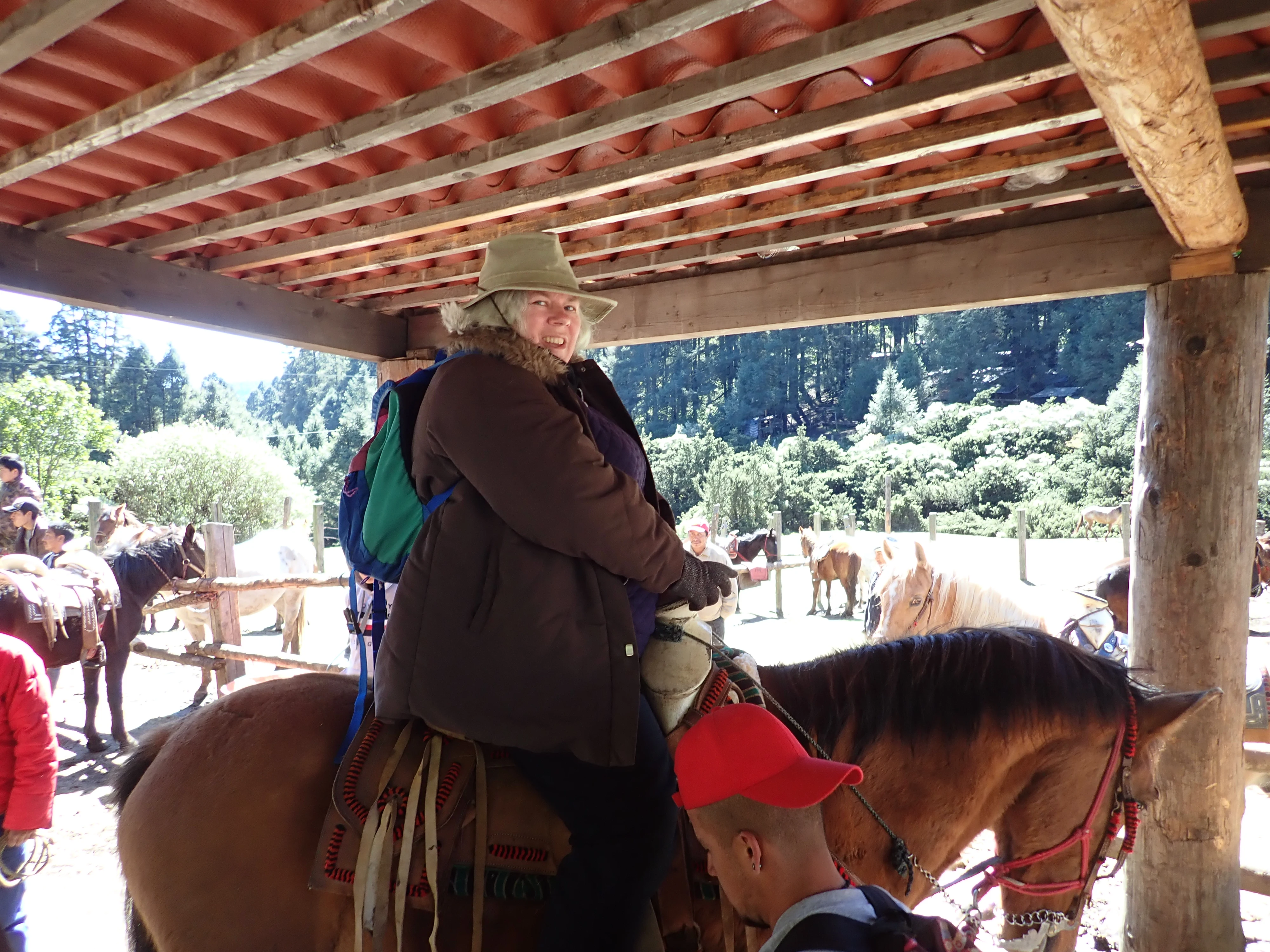 Cowboy Caroline, Sierra Chincua Monarch Reserve, Michoacan, Mexico — photo by Jim Bennett