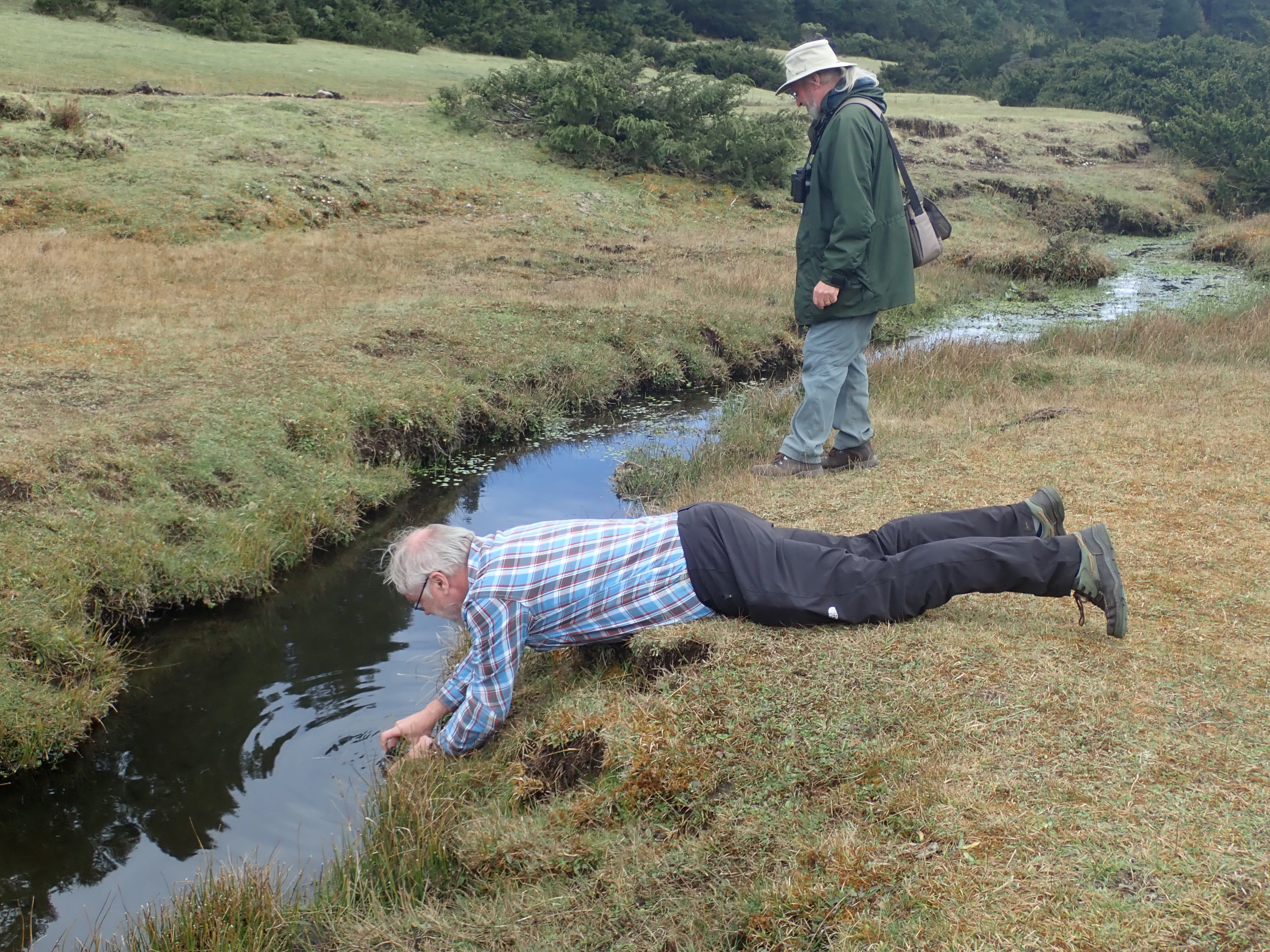 Alan photographing Axolotl, Sierra Chincua Monarch Reserve, Michoacan, Mexico — photo by Jim Bennett