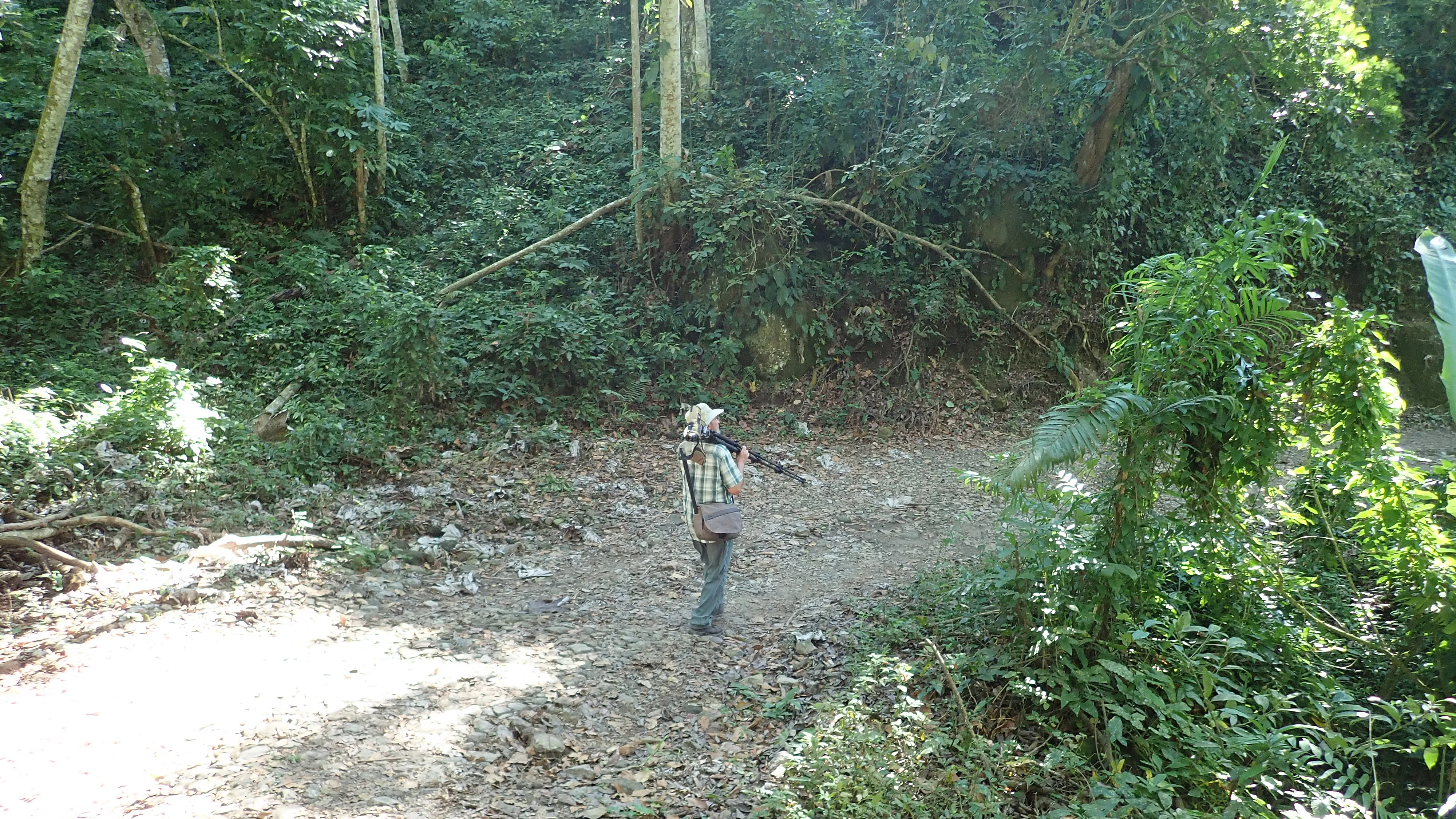 Our Guide, David Smallshire, Tecuitata, Nayarit, Mexico — photo by Jim Bennett