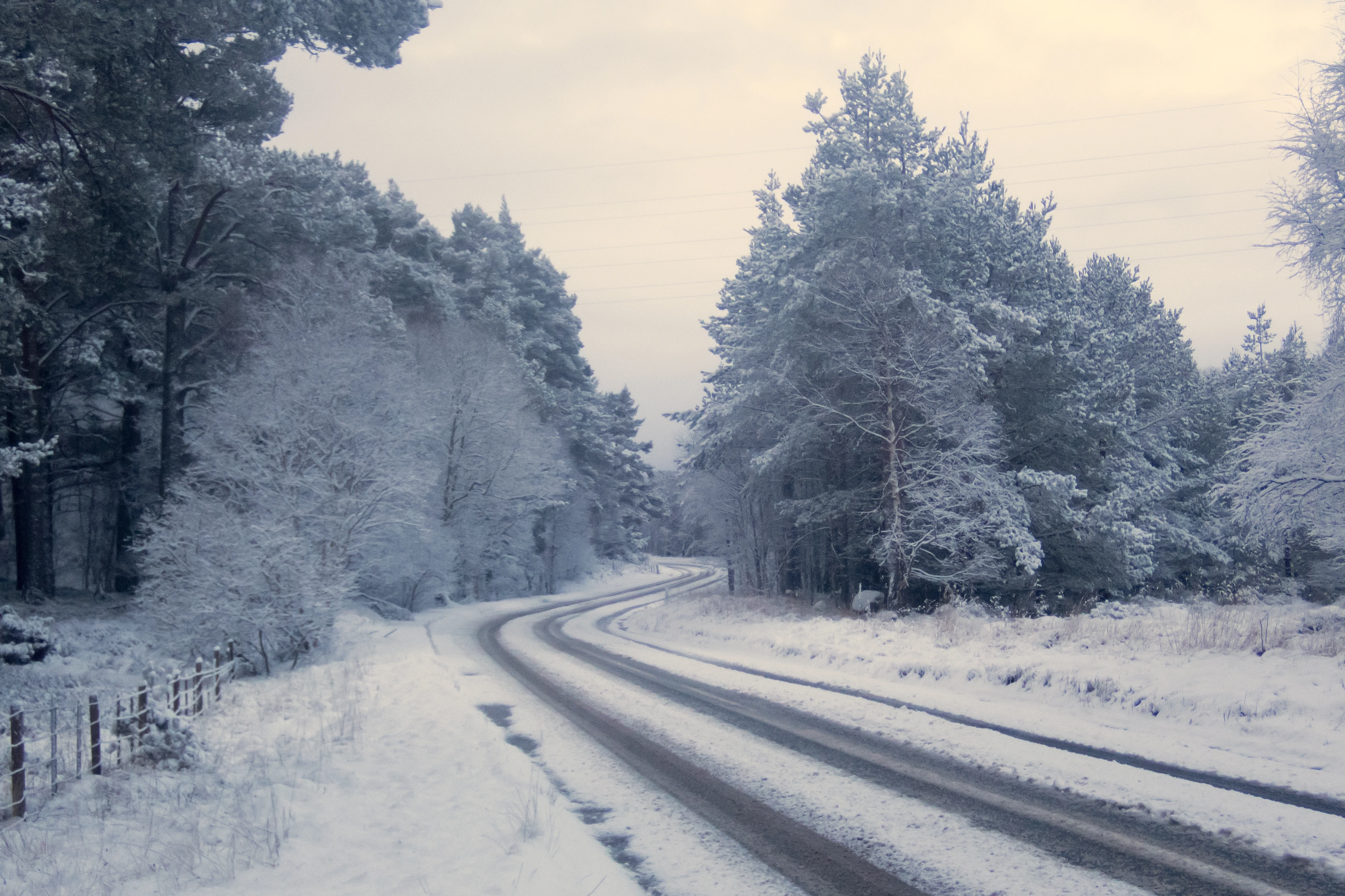 Snowy roads, near Carrbridge, Cairngorms, UK — photo by Jim Bennett