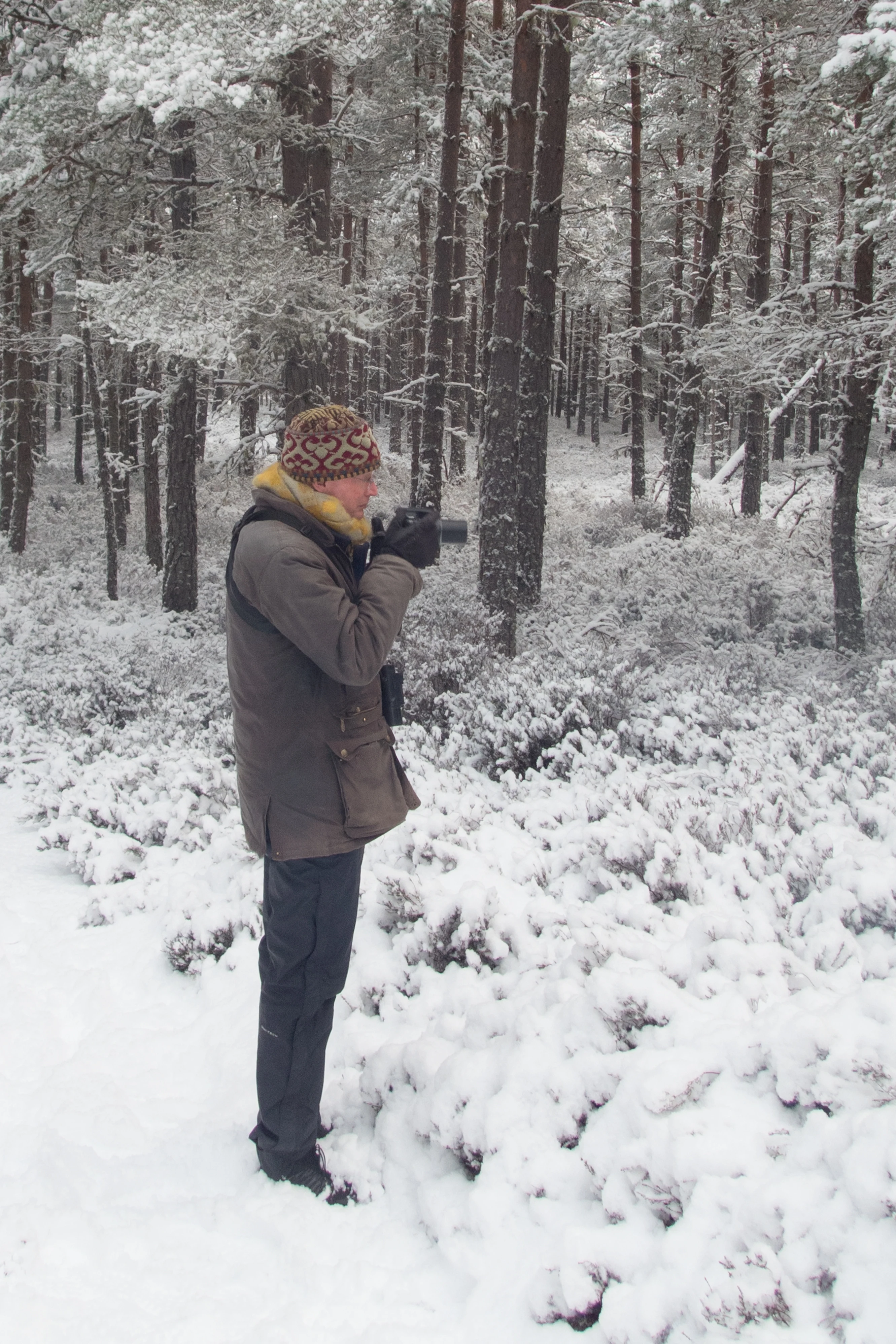 Adam, Loch Garten Woods, Cairngorms, UK — photo by Jim Bennett