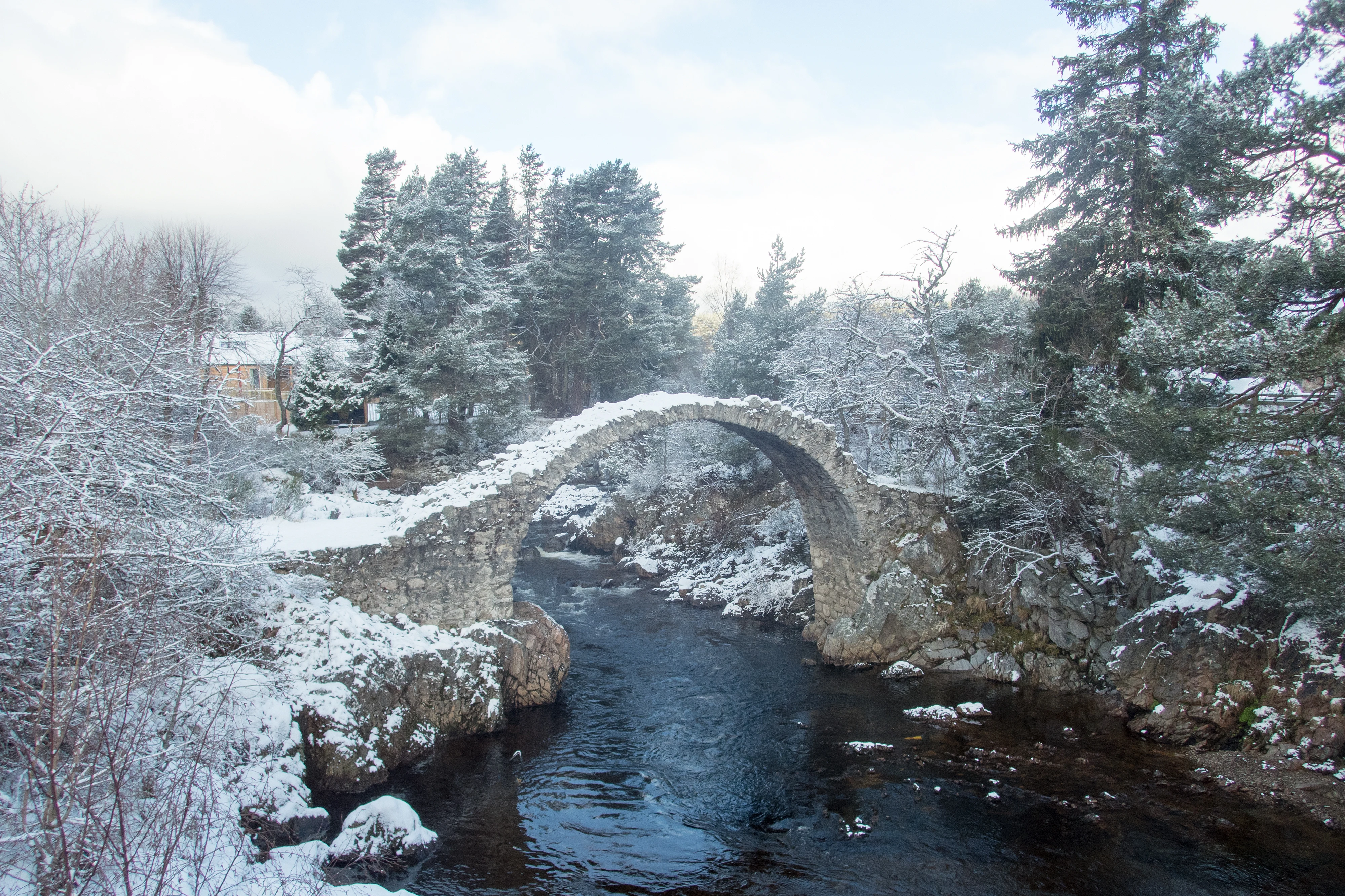 Carrbridge, Carrbridge, Cairngorms, UK — photo by Jim Bennett