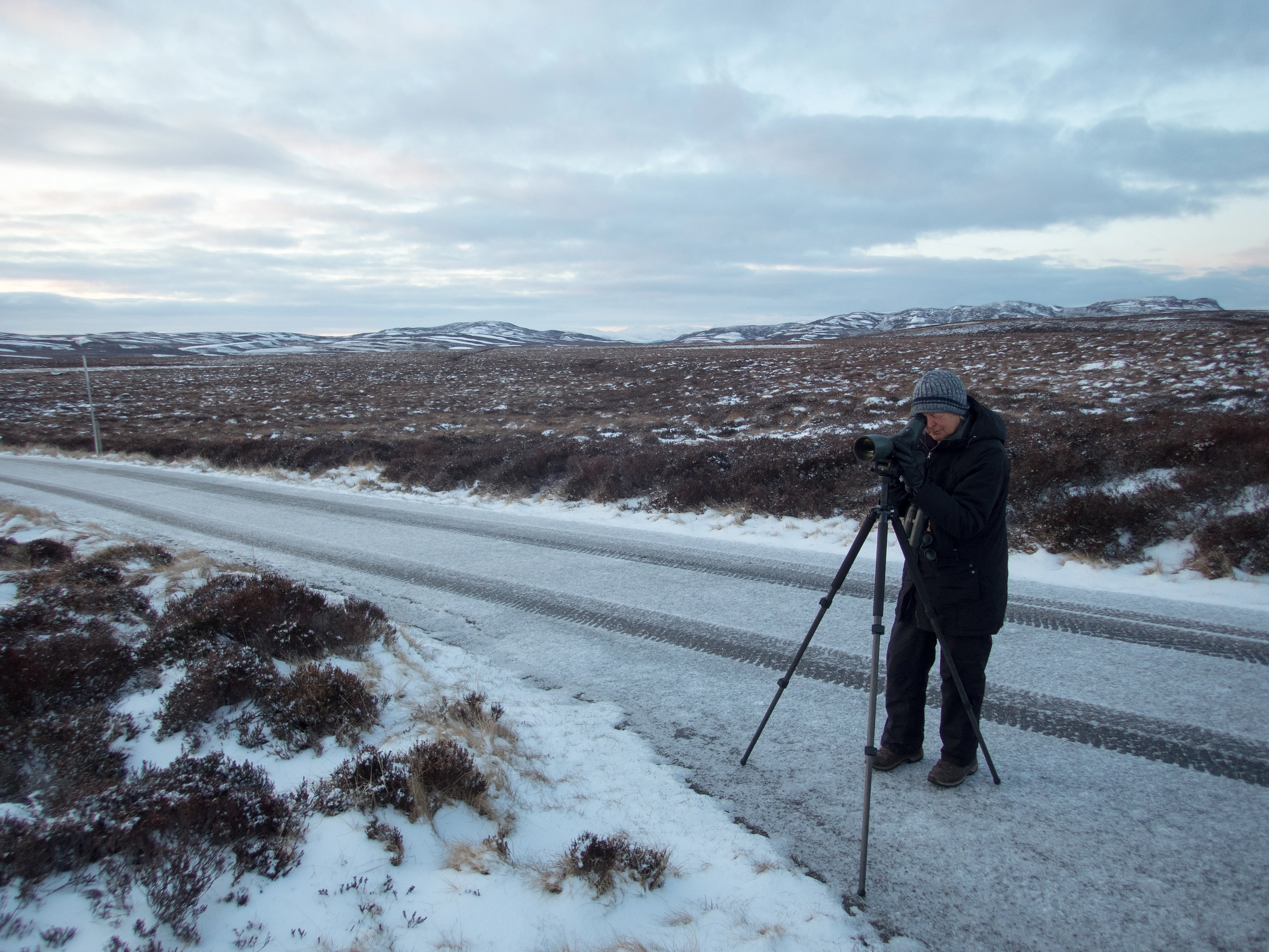 Diana, Lochindorb Road, Cairngorms, UK — photo by Jim Bennett