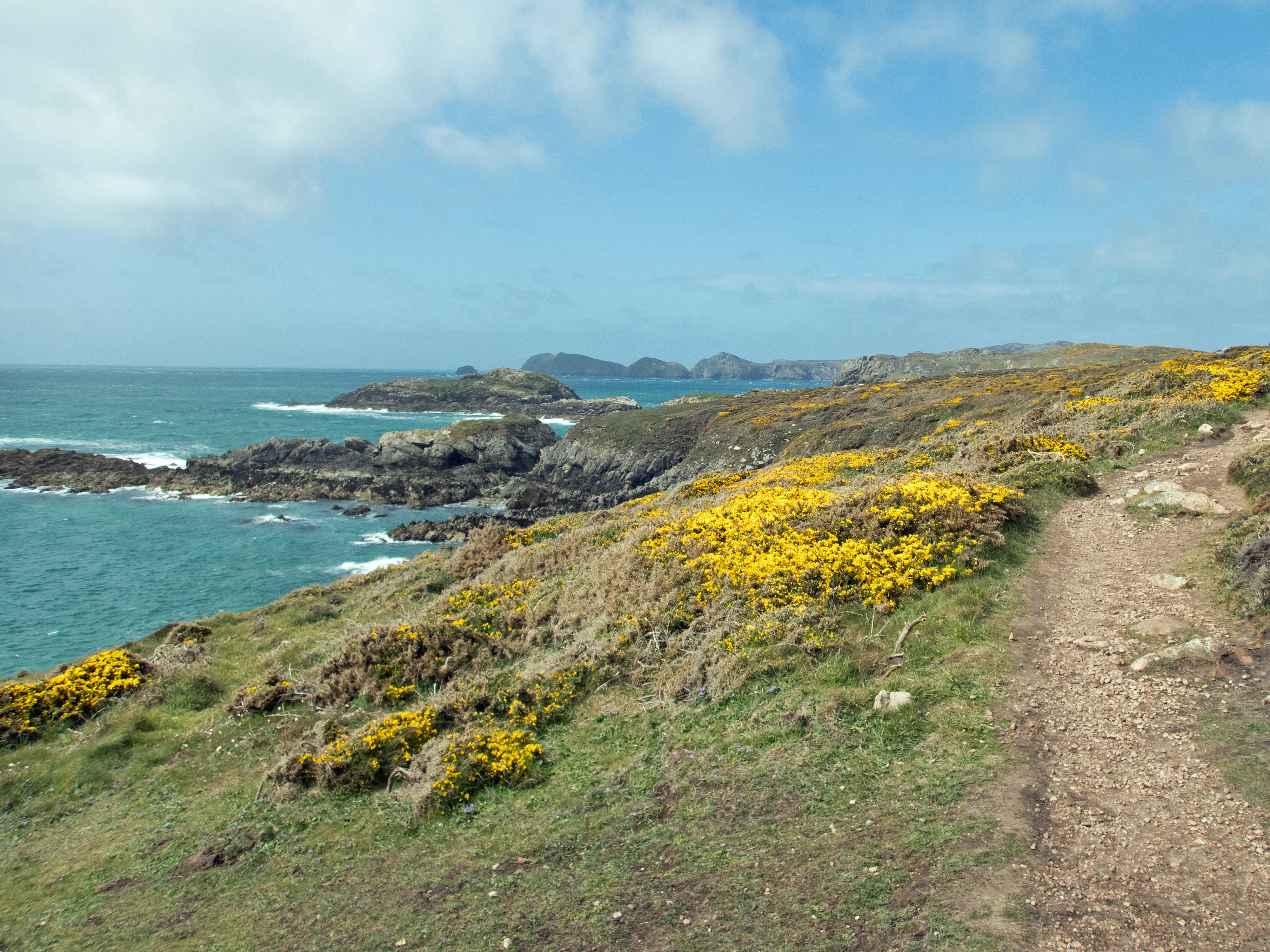 Pembrokeshire coat path, Pembrokeshire, UK — photo by Jim Bennett