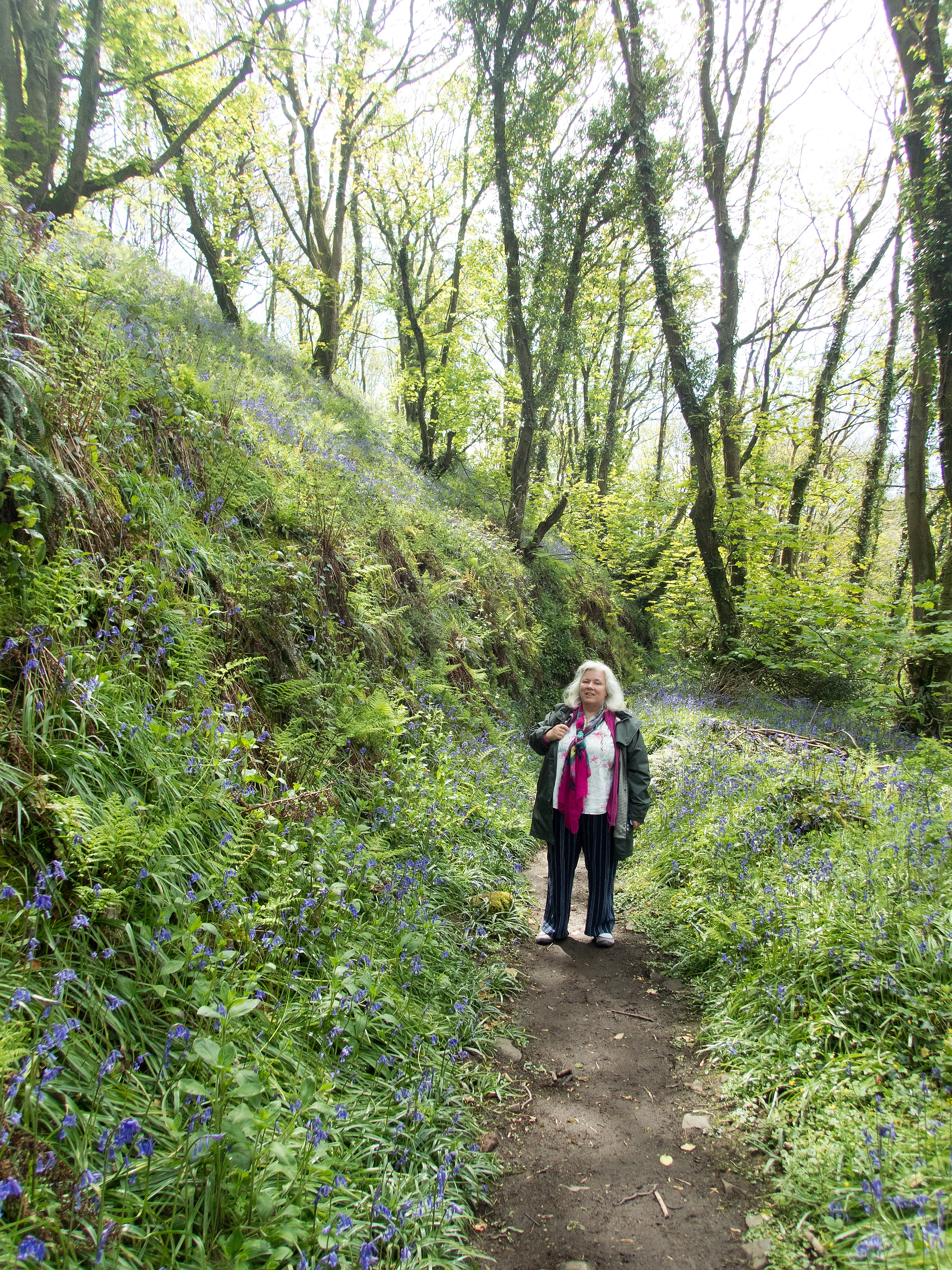 Caroline, Prendergast Wood, Solva, Pembrokeshire, UK — photo by Jim Bennett
