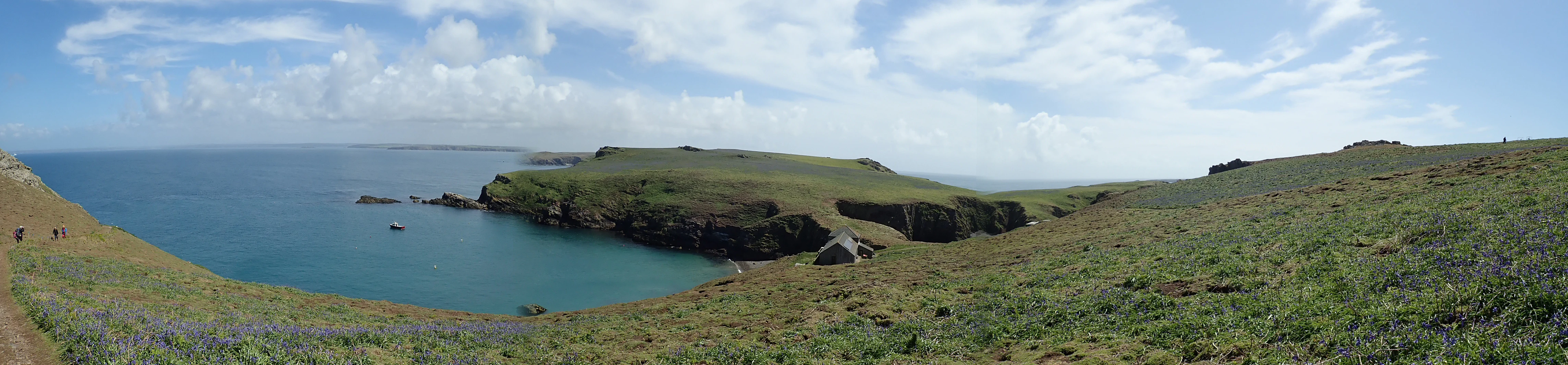 P5120055 2, Skomer, Pembrokeshire, UK — photo by Jim Bennett