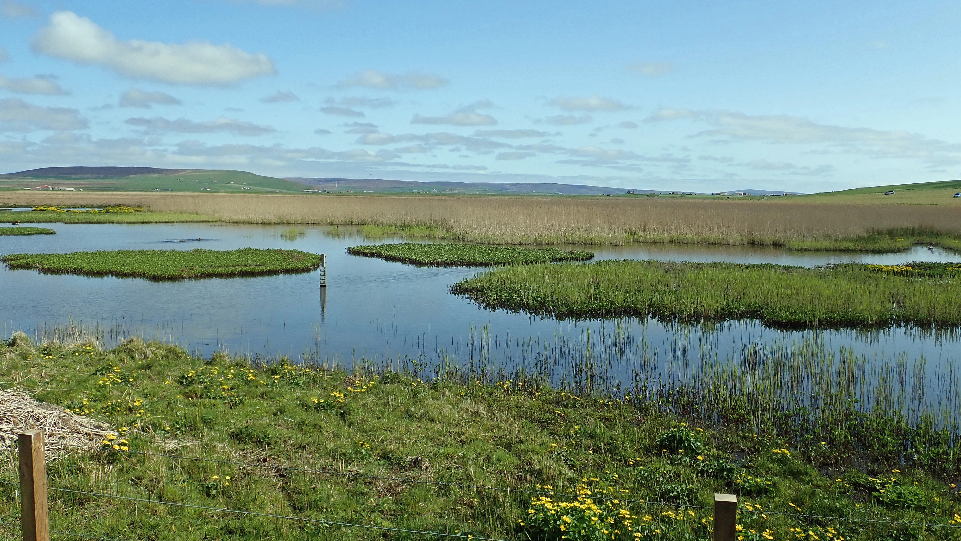 RSPB Loons Reserve, Orkney, UK — photo by Jim Bennett