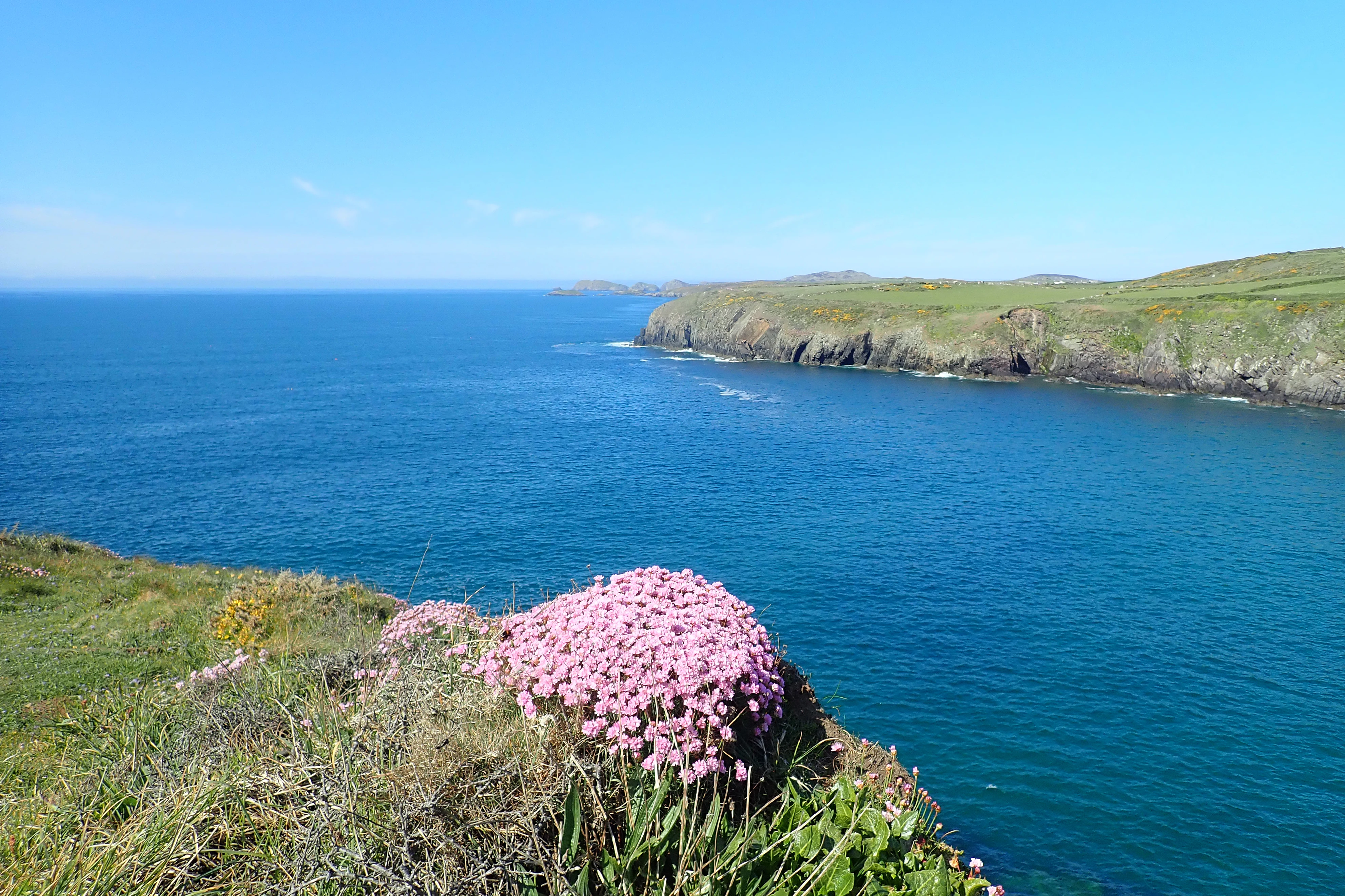 P5140088, Caerfia Bay, Pembrokeshire, UK — photo by Jim Bennett