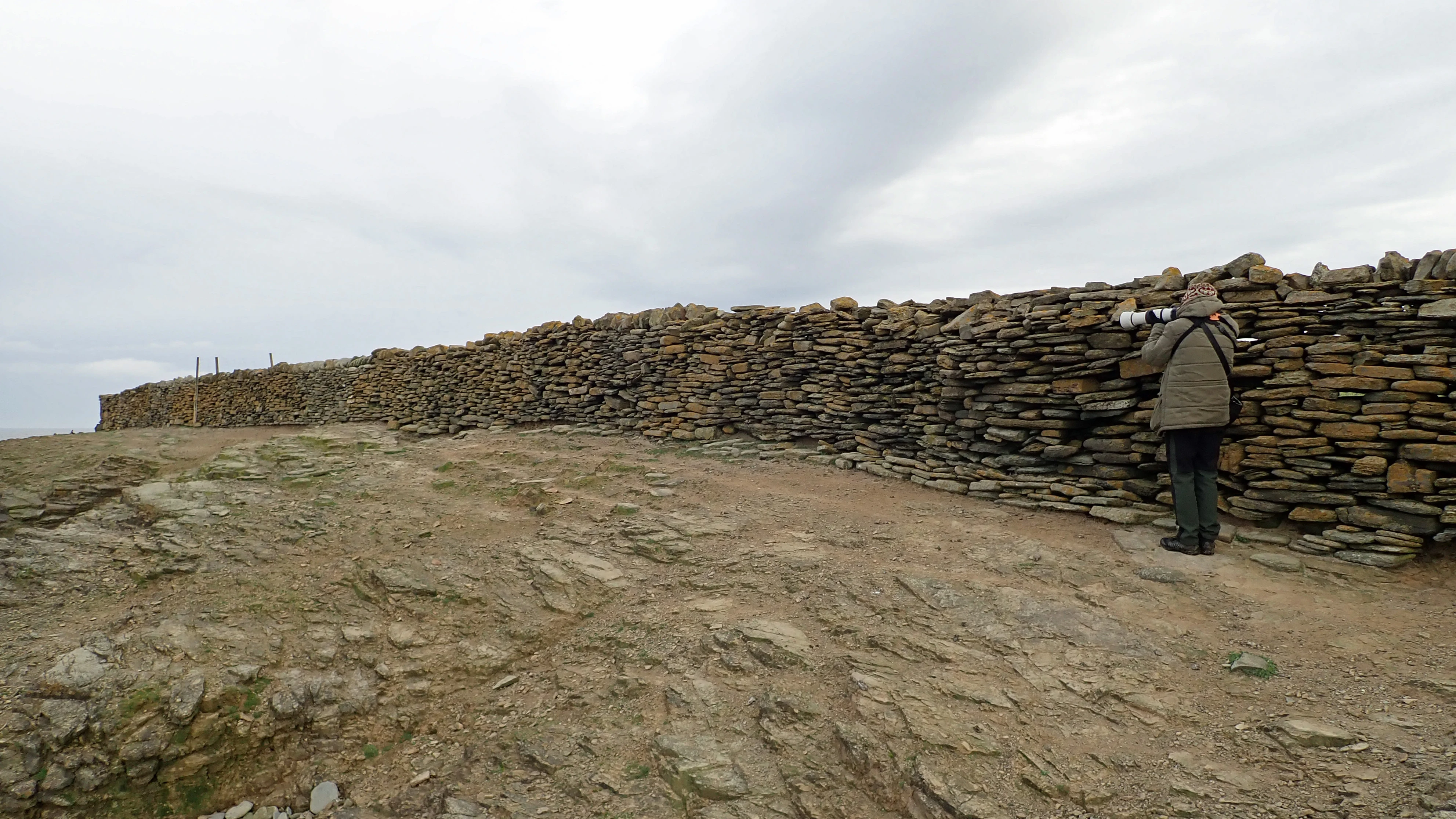 Adam in action, North Ronaldsay, UK — photo by Jim Bennett