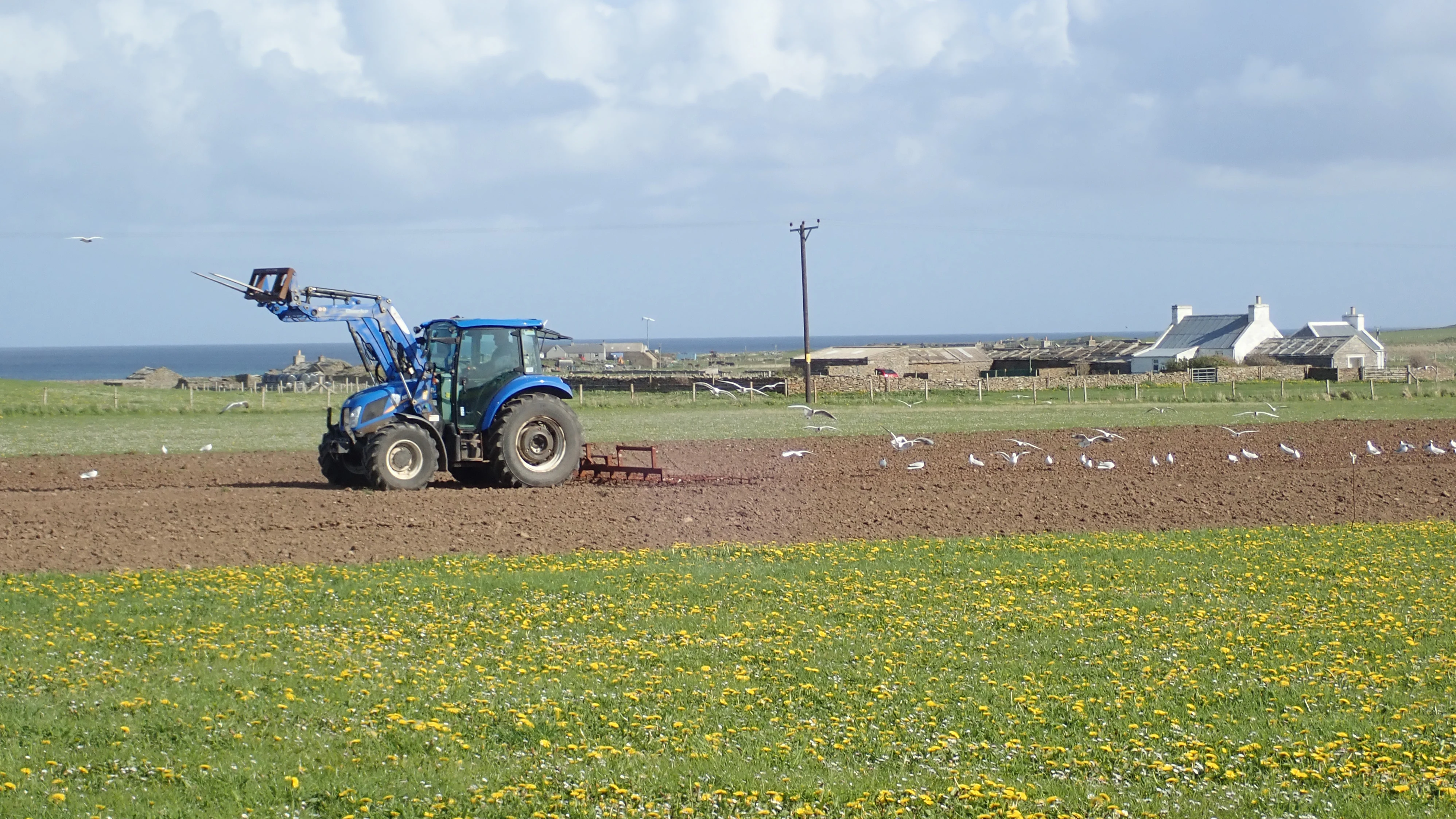 Farming, North Ronaldsay, UK — photo by Jim Bennett