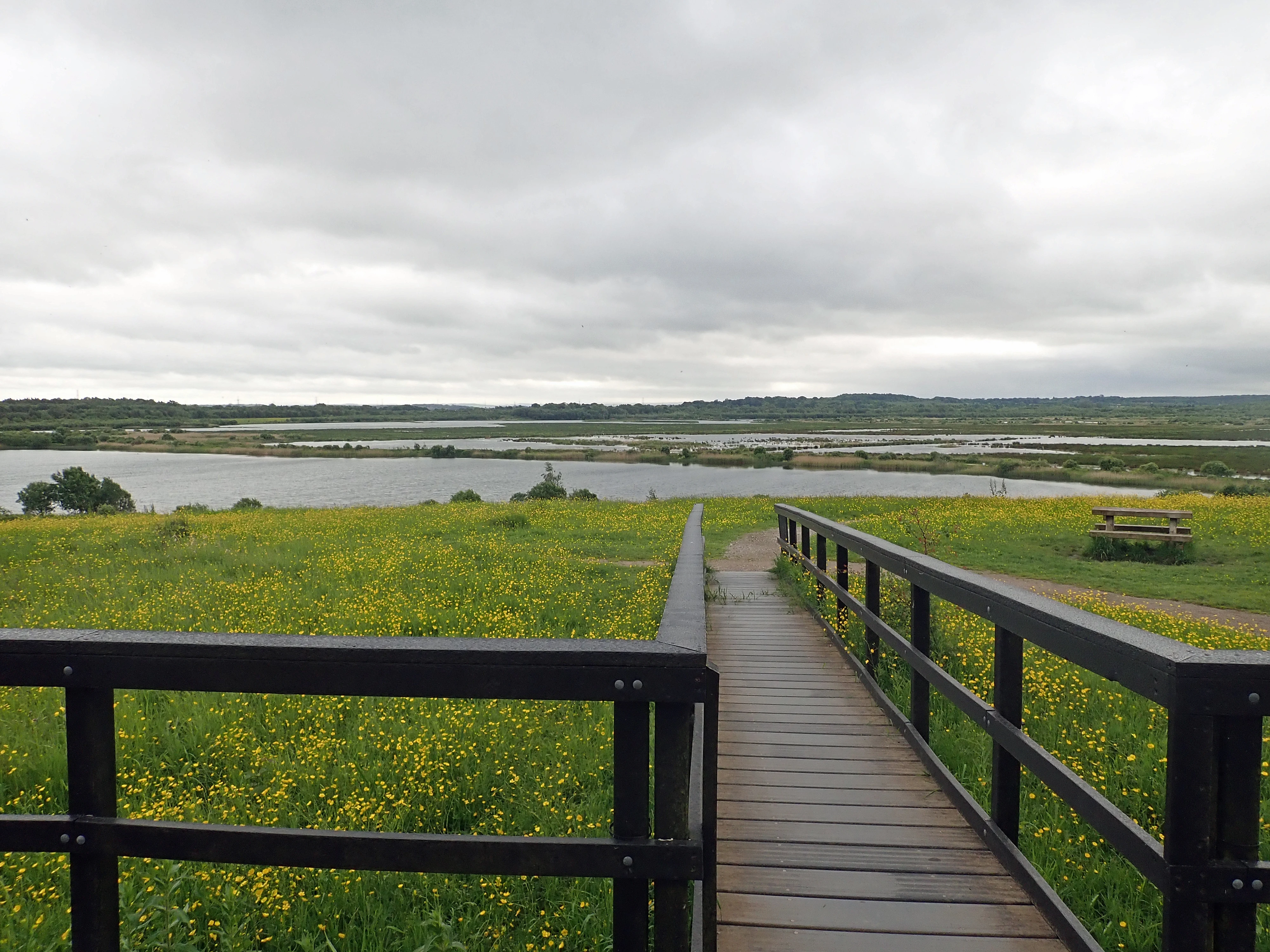P5230074, RSPB St Aidan's, Yorkshire, UK — photo by Jim Bennett