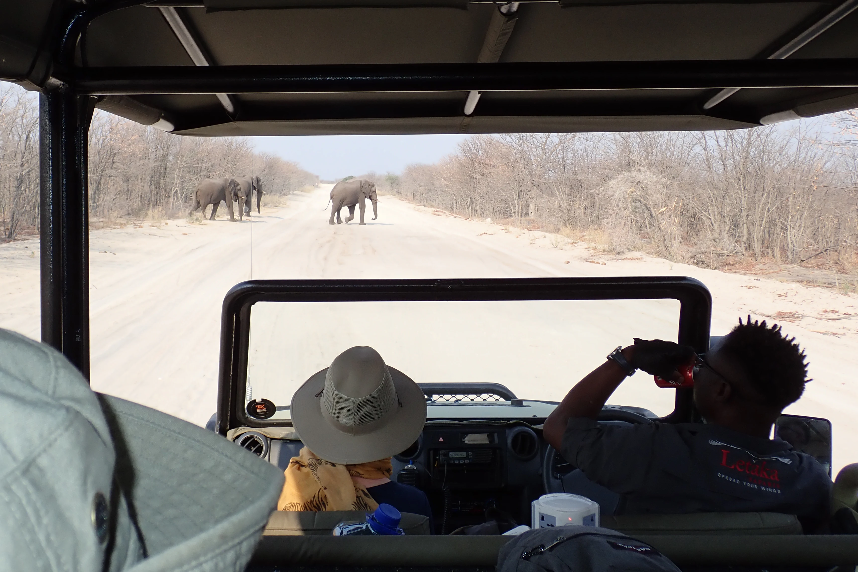 Maun to Khwai road, Maun to Khwai road, Botswana — photo by Jim Bennett