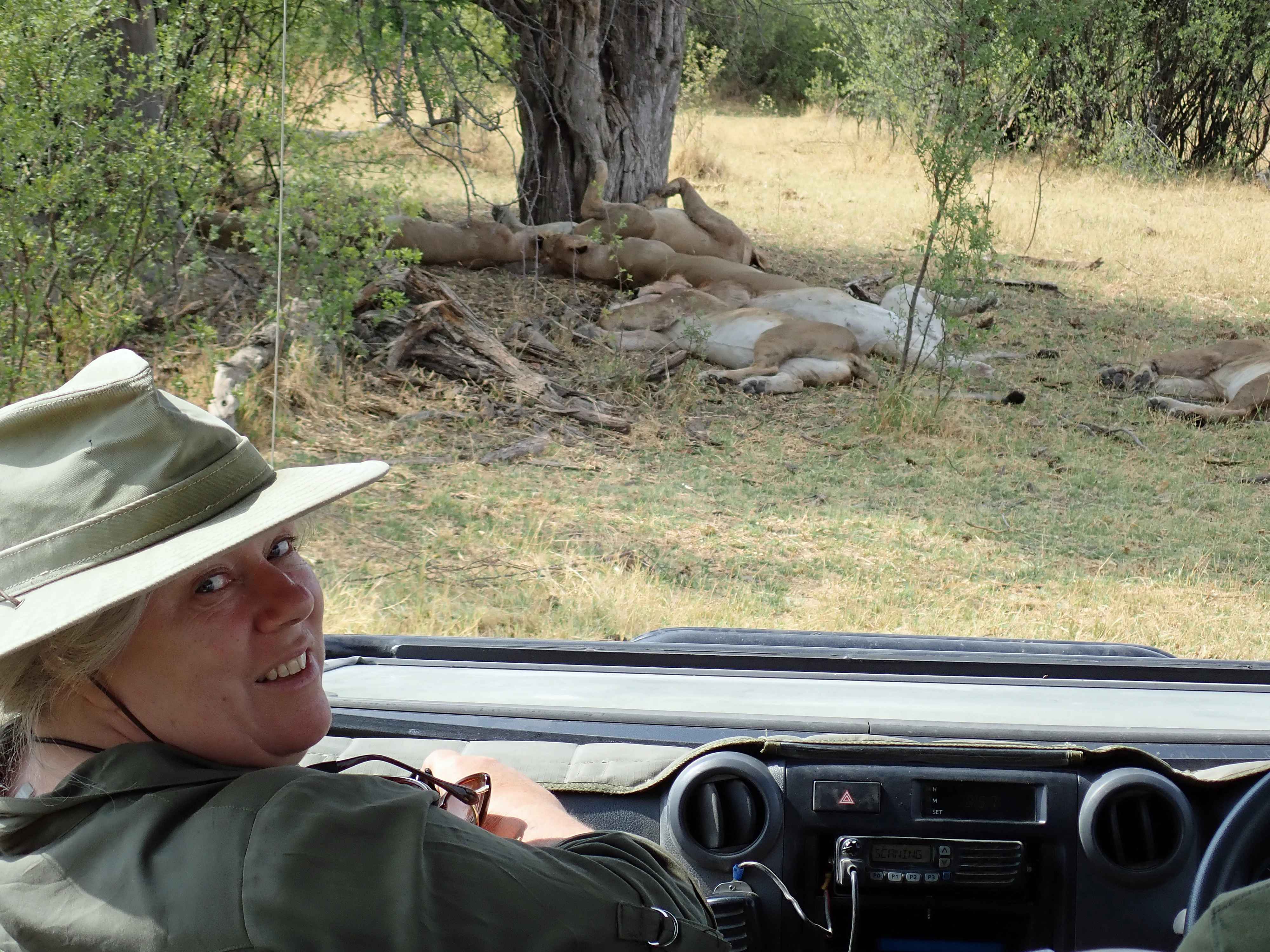 Caroline and sleeping lions, near Khwai, Botswana — photo by Jim Bennett