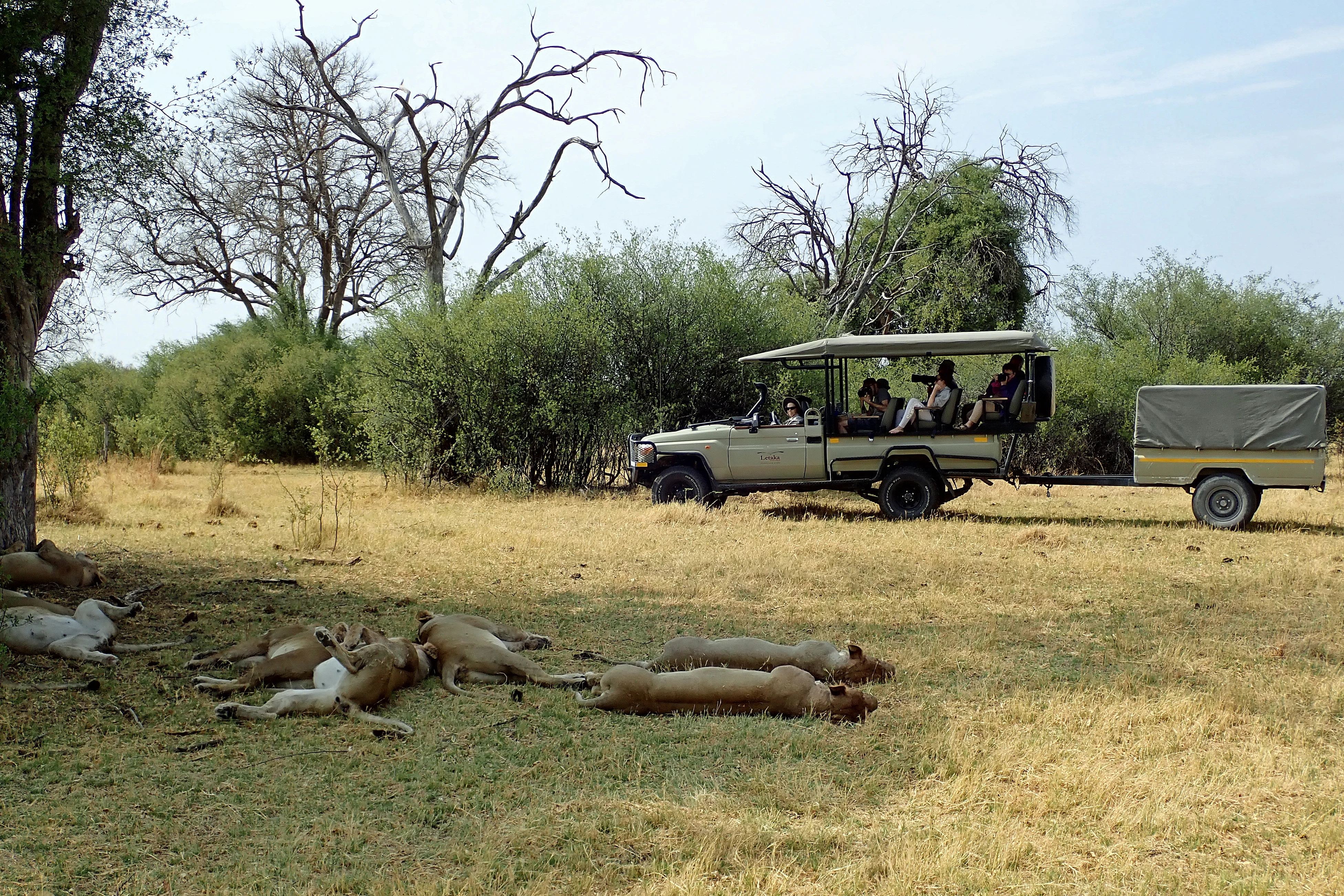 Landcruiser carrying our bags, Khwai to Moremi, Botswana — photo by Jim Bennett