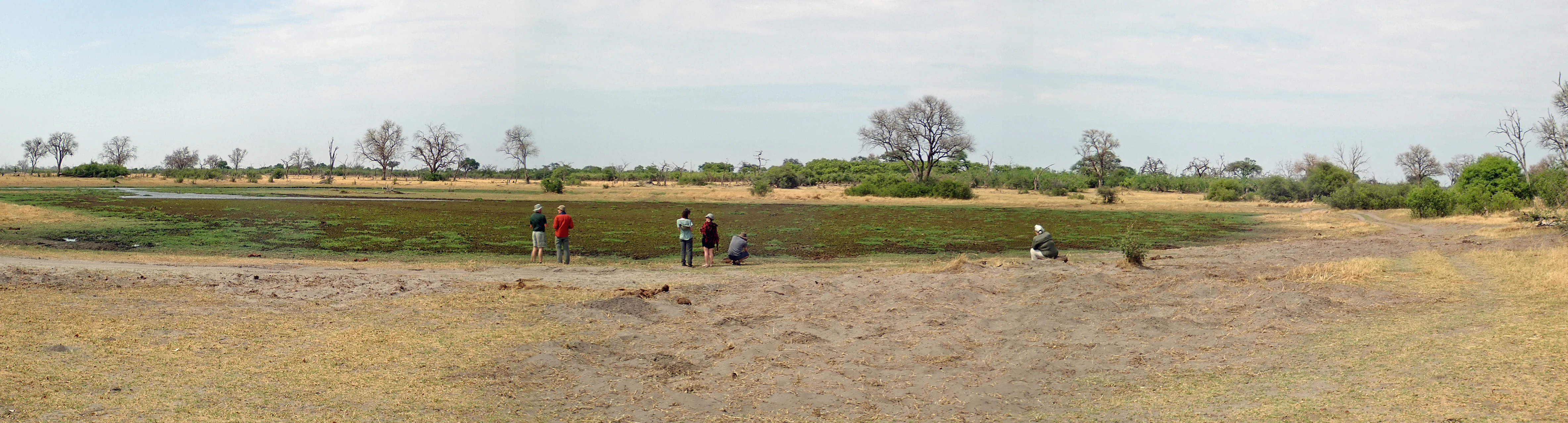 Stretching our legs, Khwai to Moremi, Botswana — photo by Jim Bennett