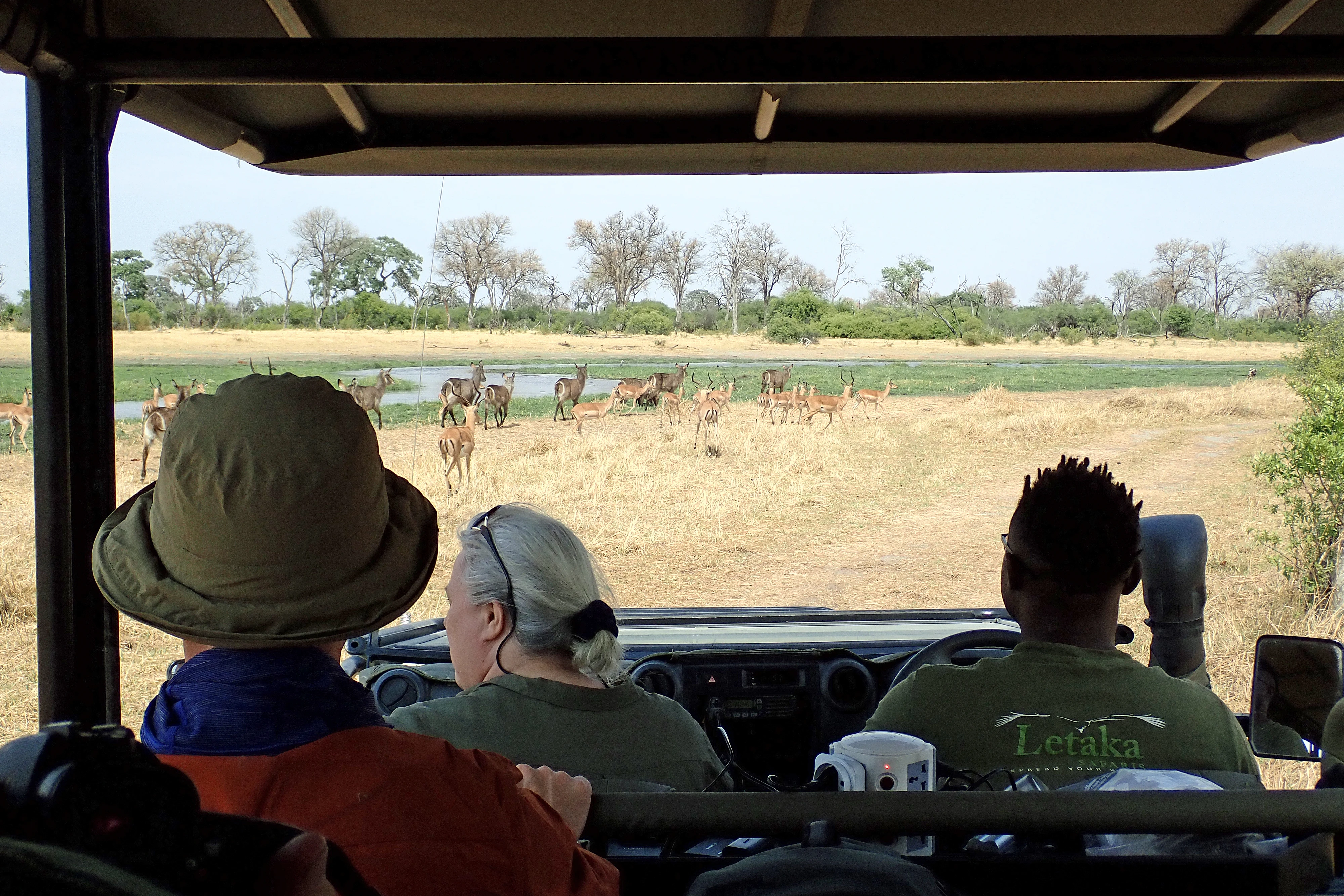 Impala & Waterbuck, Khwai to Moremi, Botswana — photo by Jim Bennett