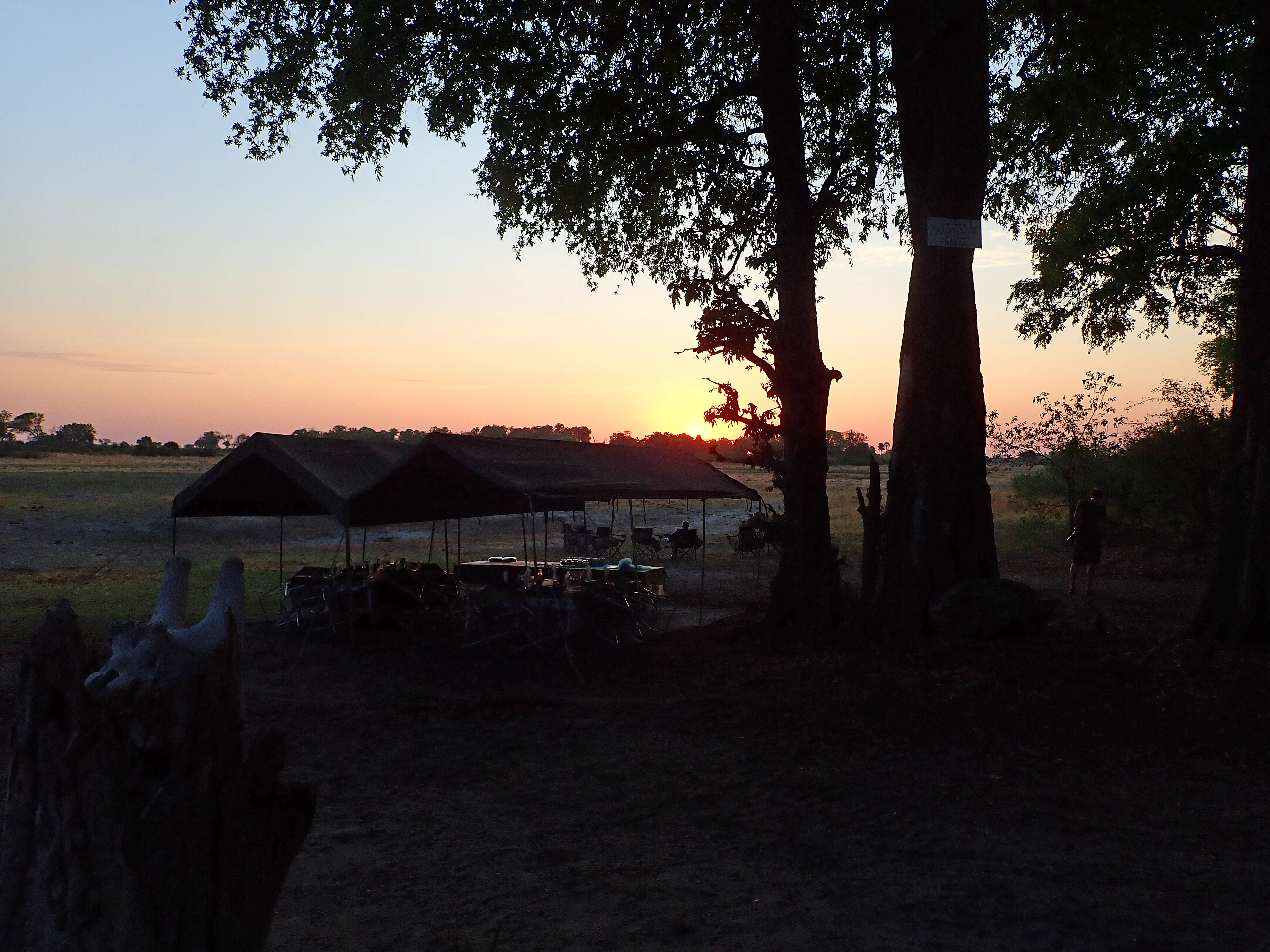 Sunset at our new campsite, Moremi Game Reserve, Botswana — photo by Jim Bennett