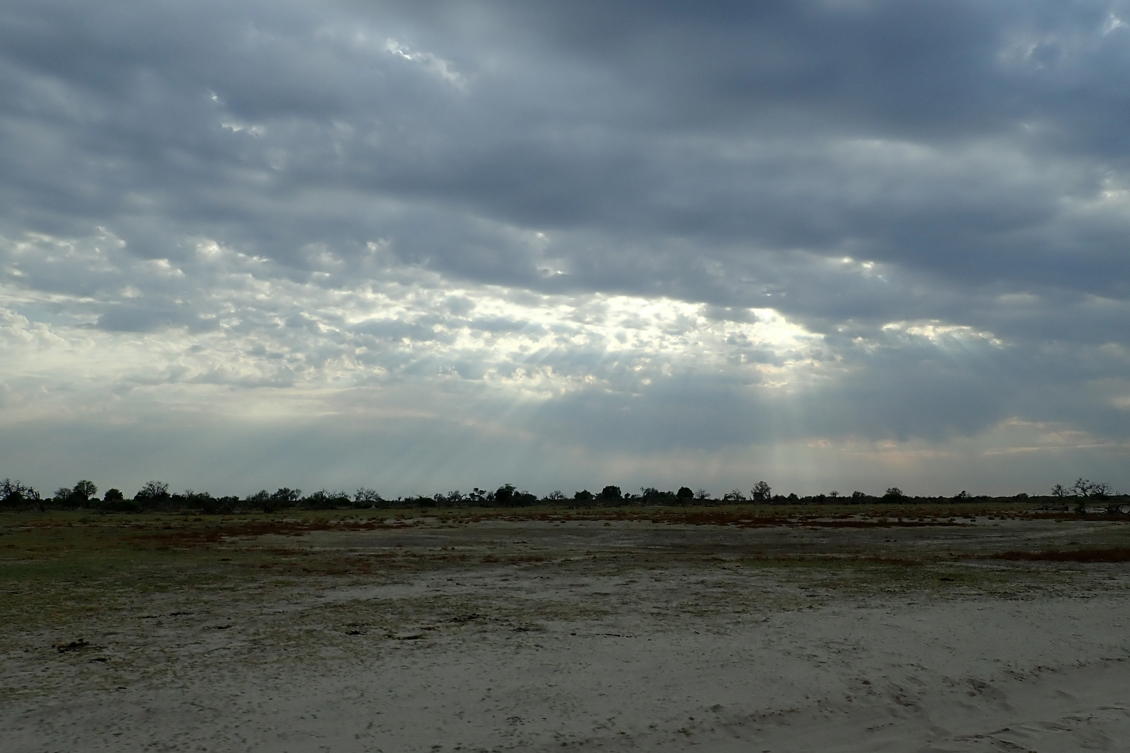 Signs of rain to come, Moremi Game Reserve, Botswana — photo by Jim Bennett