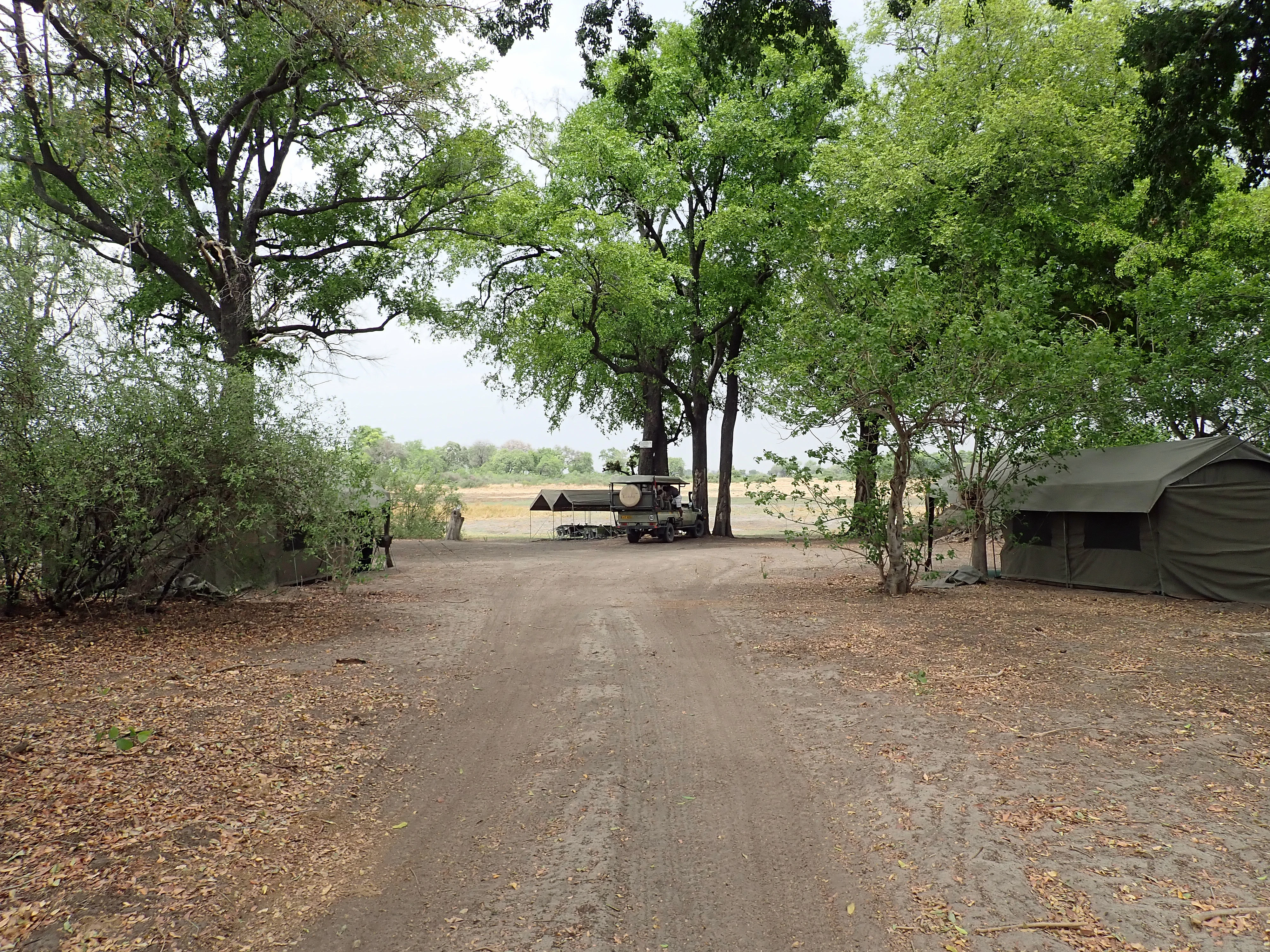 Our campsite, Moremi Game Reserve, Botswana — photo by Jim Bennett