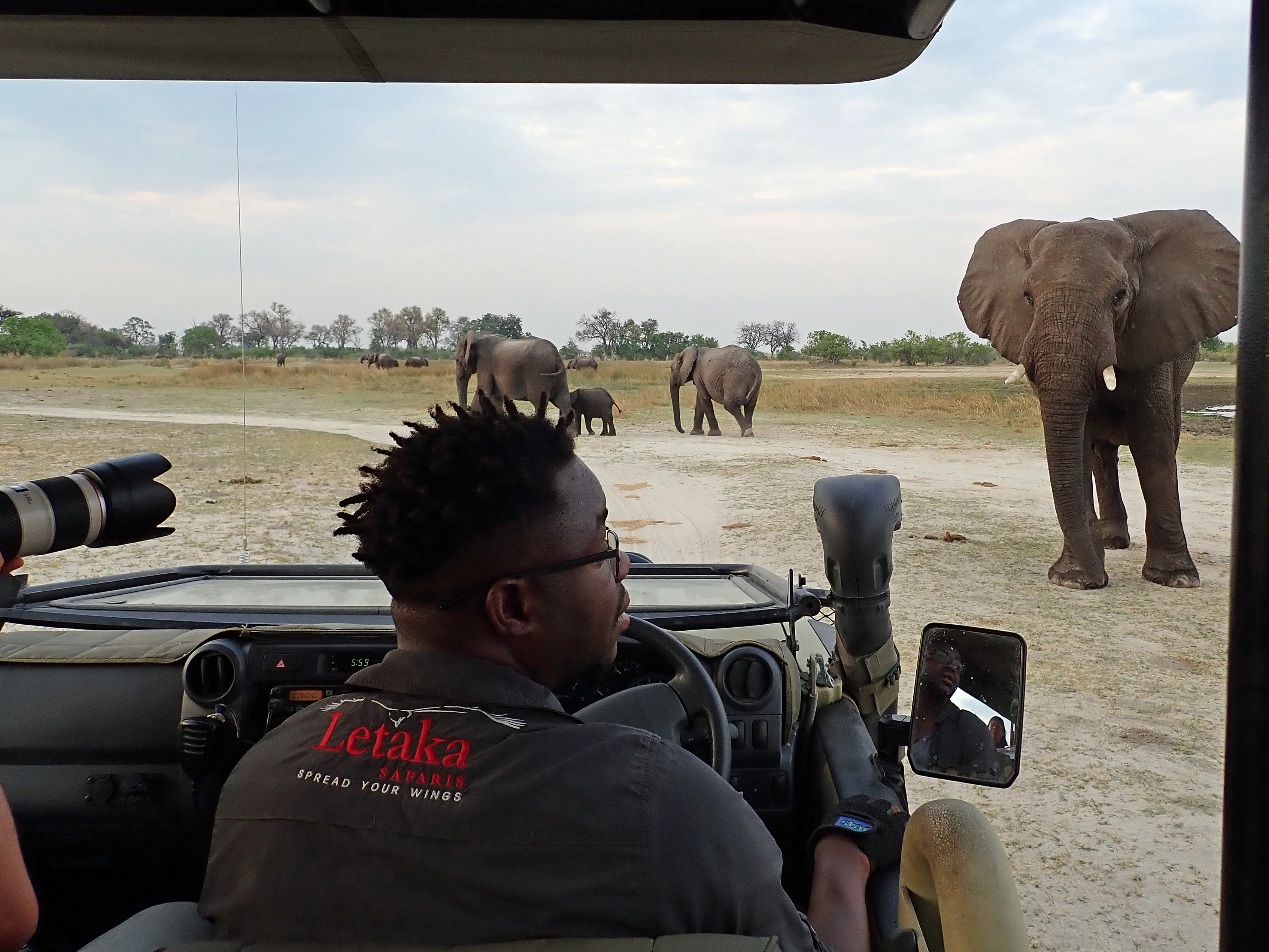CJ and African Elephants, Moremi Game Reserve, Botswana — photo by Jim Bennett