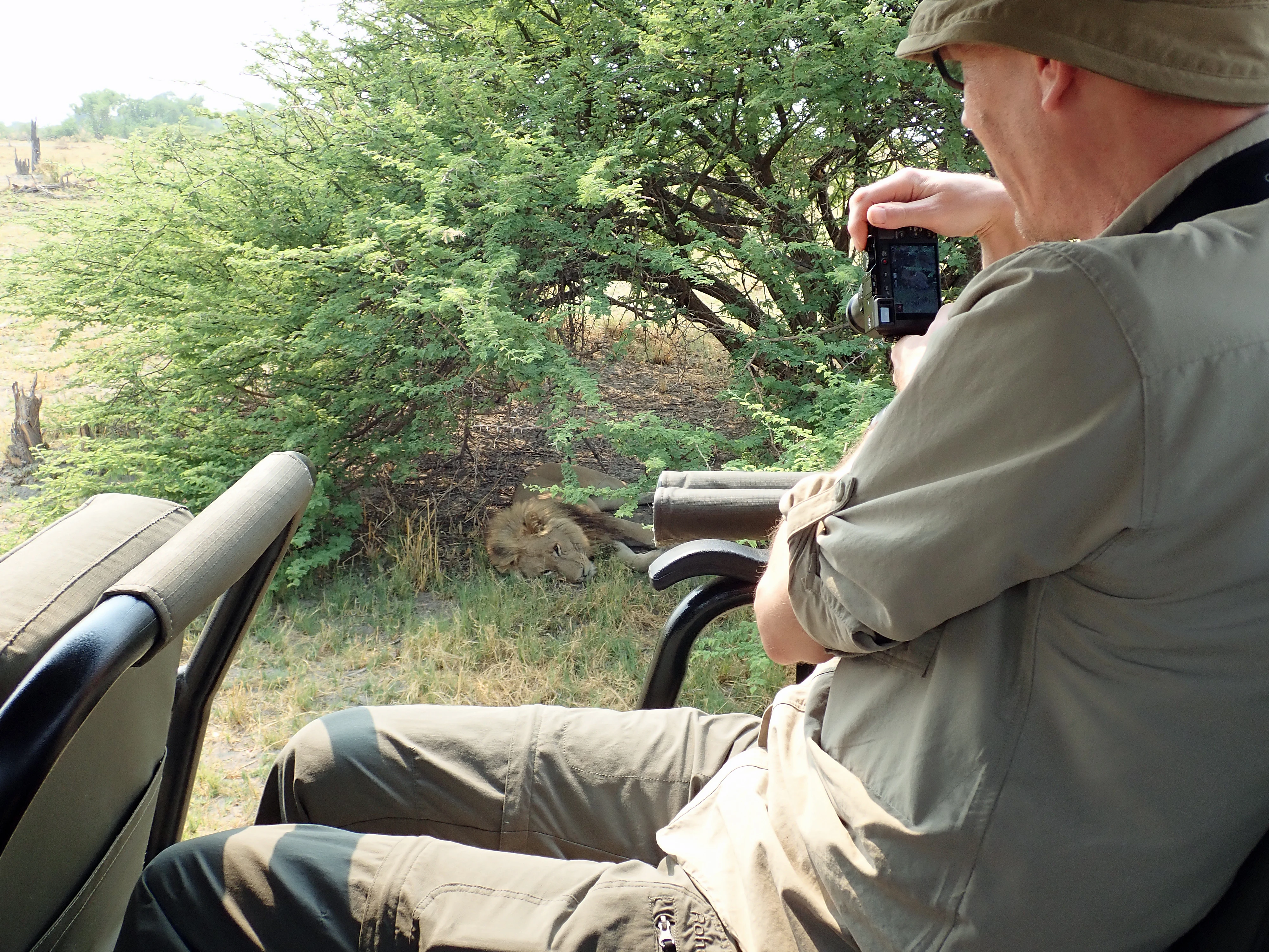 Alistair & the Lion, Moremi Game Reserve, Botswana — photo by Jim Bennett