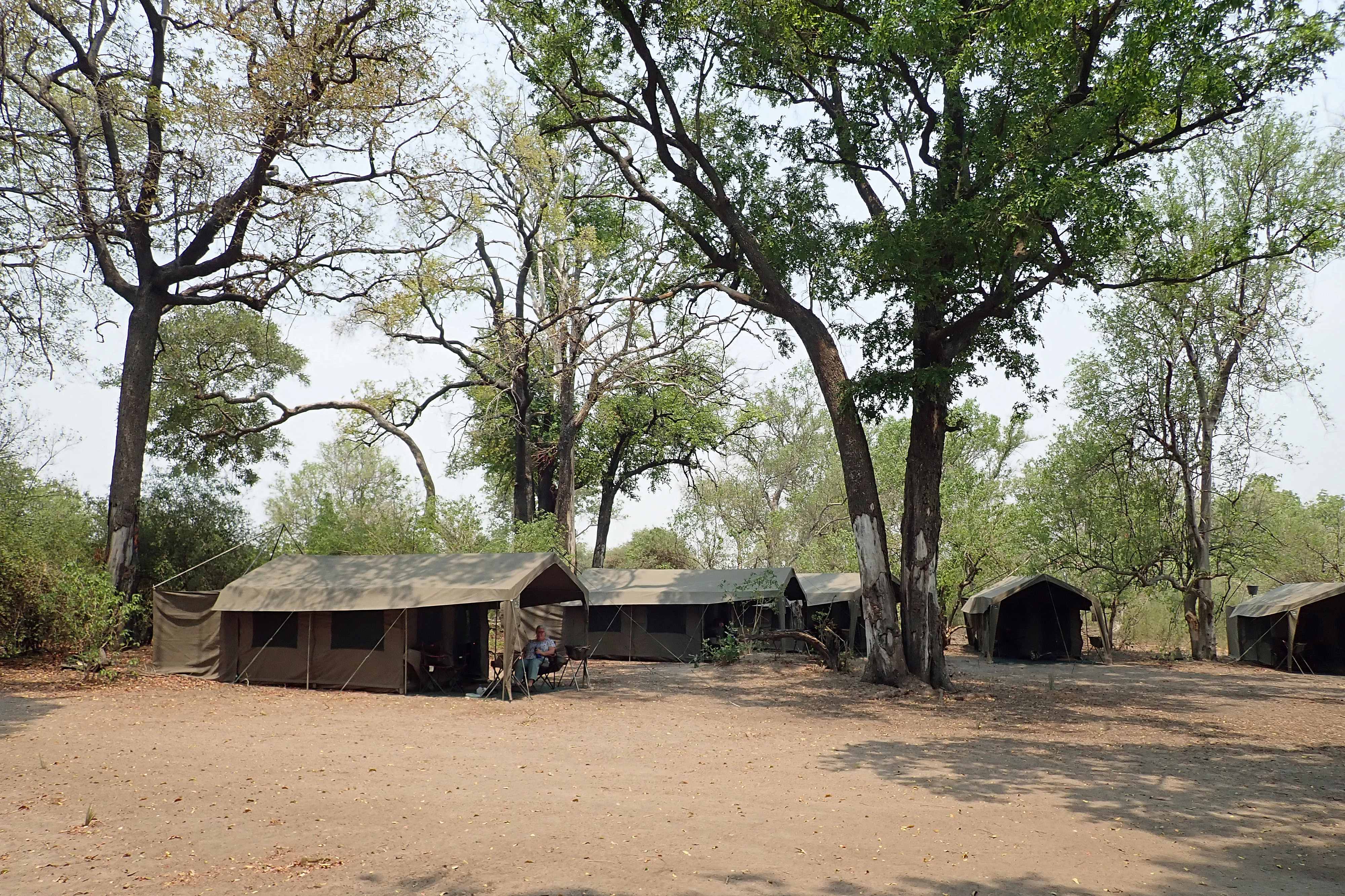 Caroline at our tent, Moremi Game Reserve, Botswana — photo by Jim Bennett