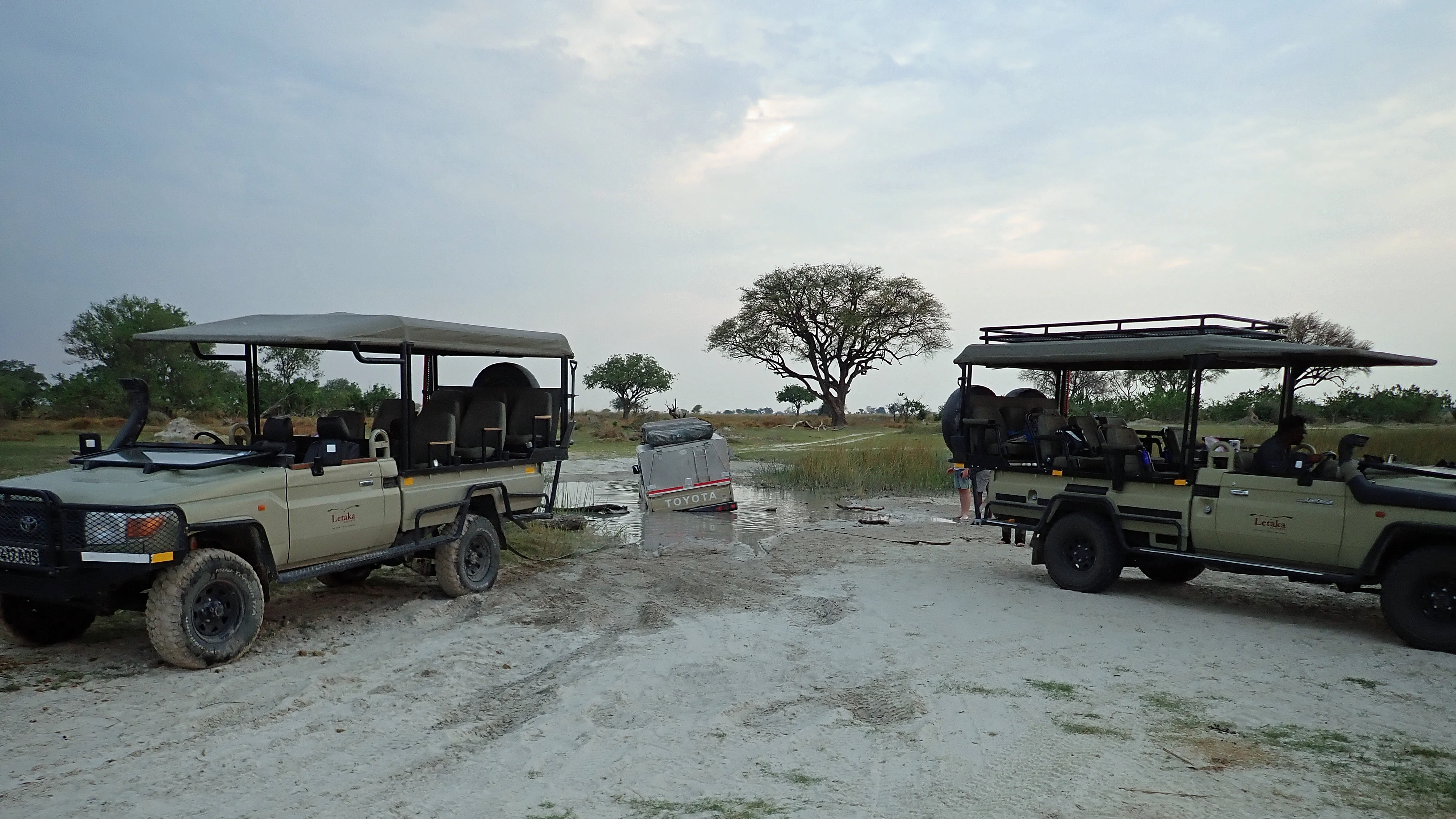 Preparing a tow, Moremi Game Reserve, Botswana — photo by Jim Bennett