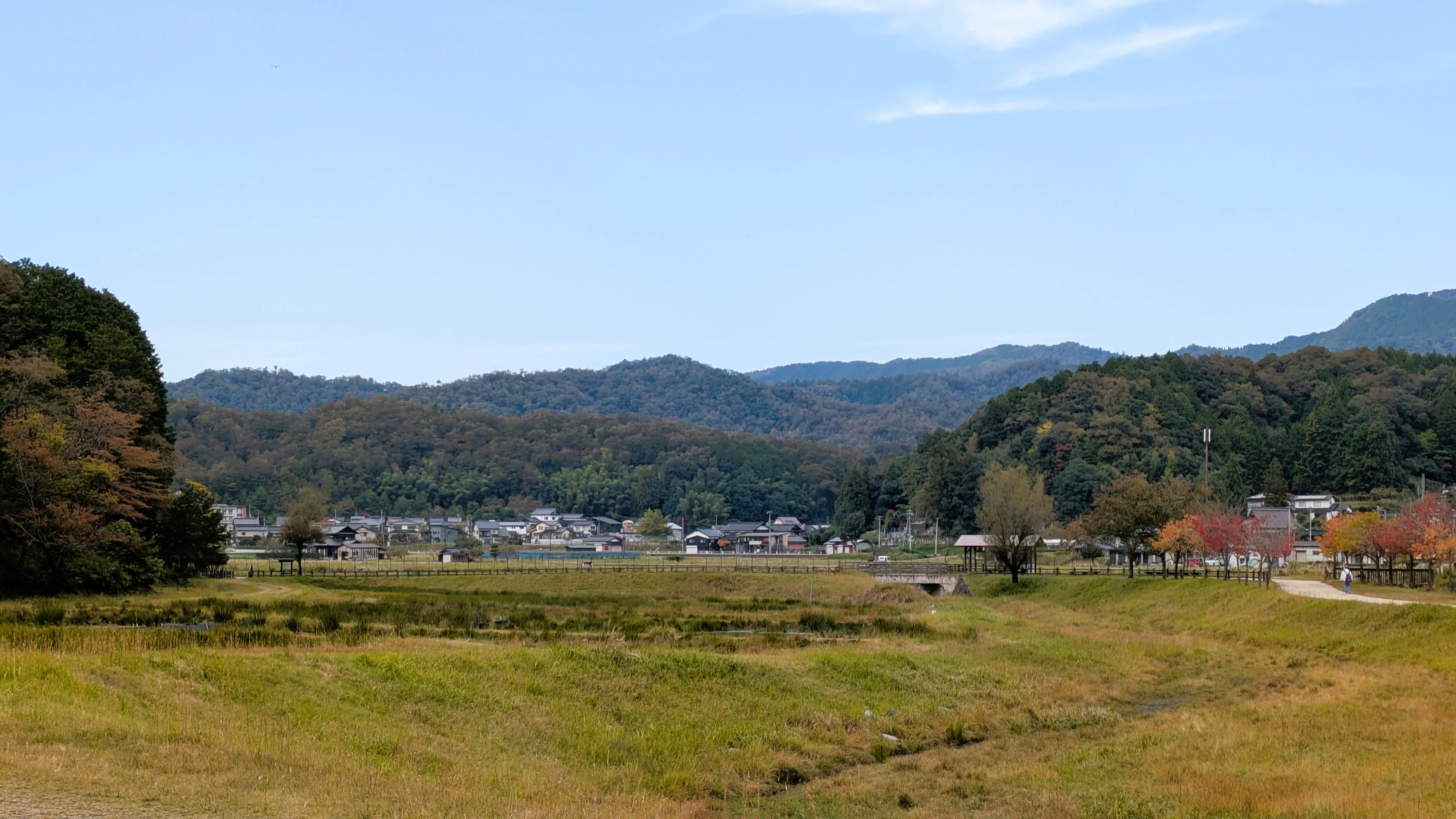 PXL 20251105 040634379, Hyogo Oriental White Stork Conservation Center, Japan — photo by Jim Bennett