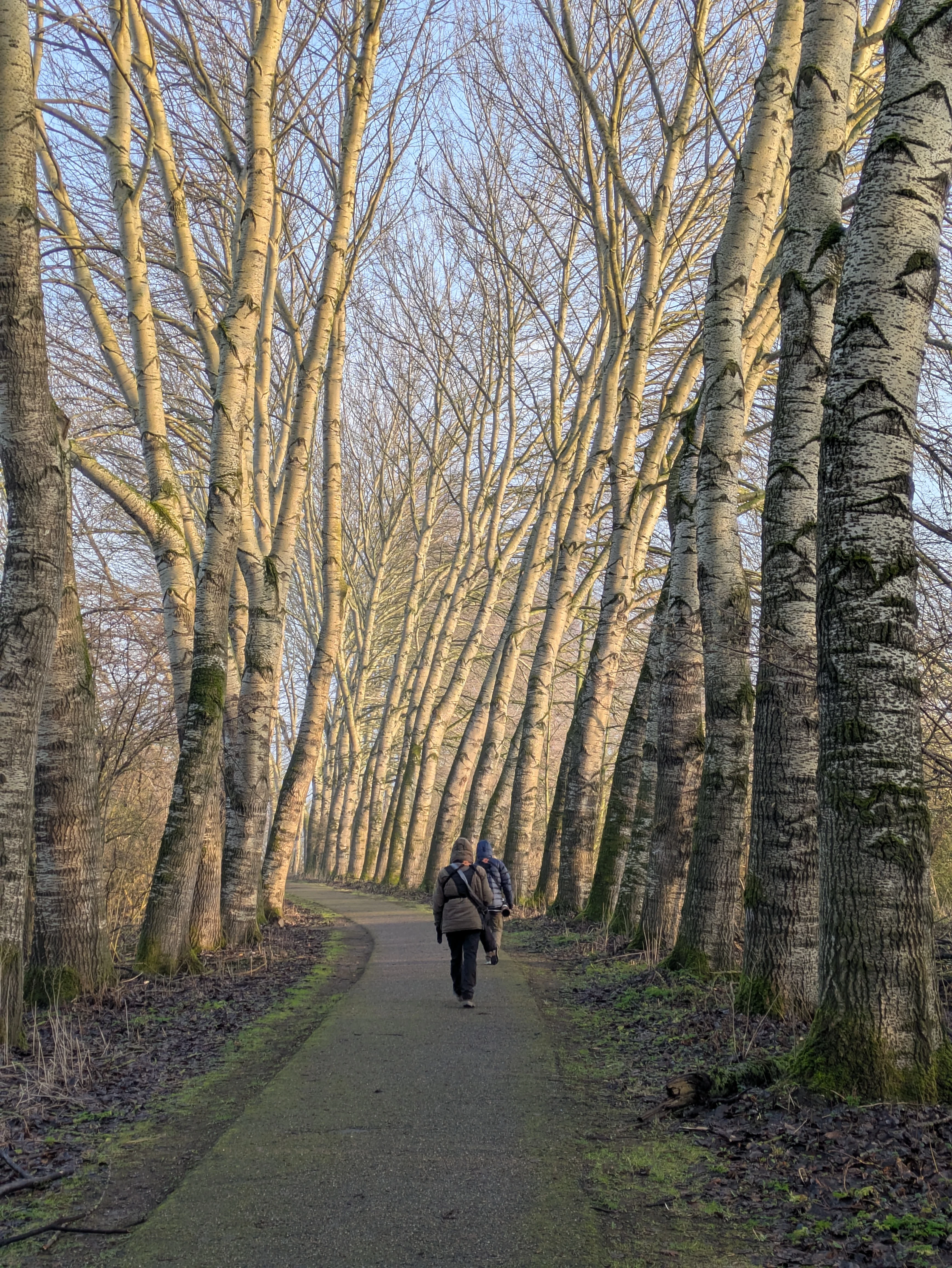 Adam & Orlando, Natuurpark Lelystad, Lelystad, Flevoland, Netherlands — photo by Jim Bennett