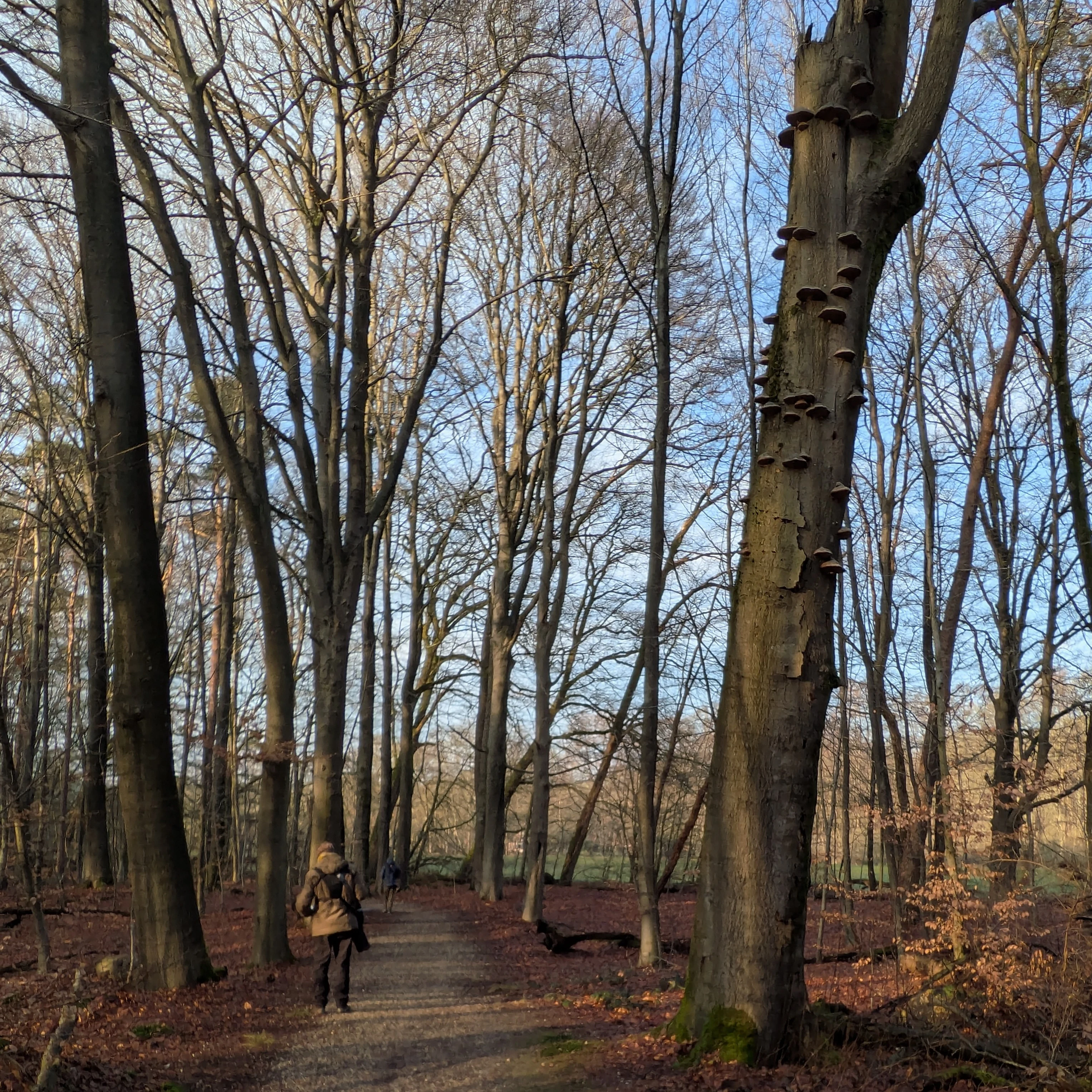 Adam, De Motketel, Gelderland, Netherlands — photo by Jim Bennett