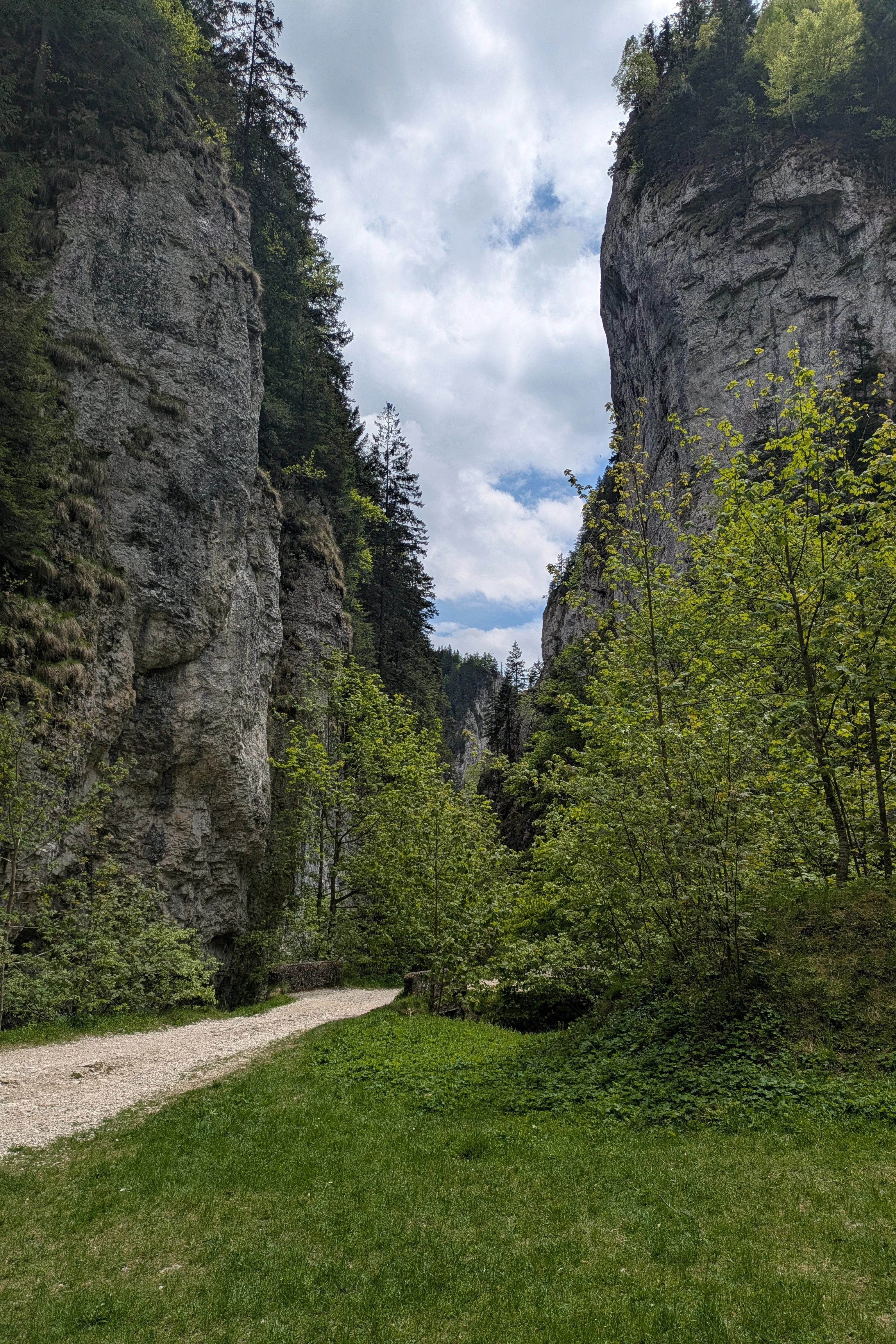 Zarnesti Gorge, Zarnesti Gorge, Transylvania, Romania — photo by Jim Bennett