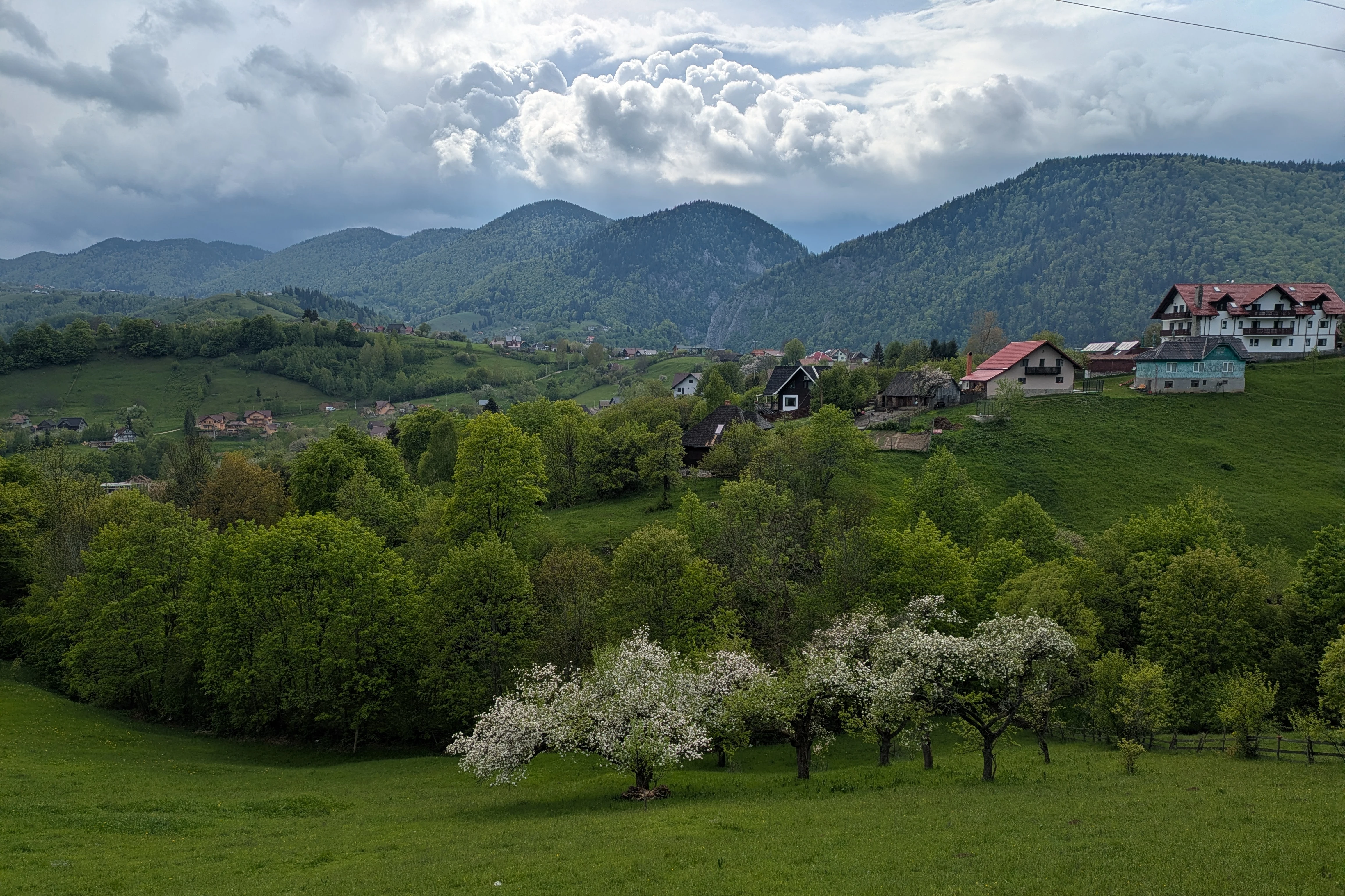 PXL 20260520 133430198, Magura Village, Transylvania, Romania — photo by Jim Bennett