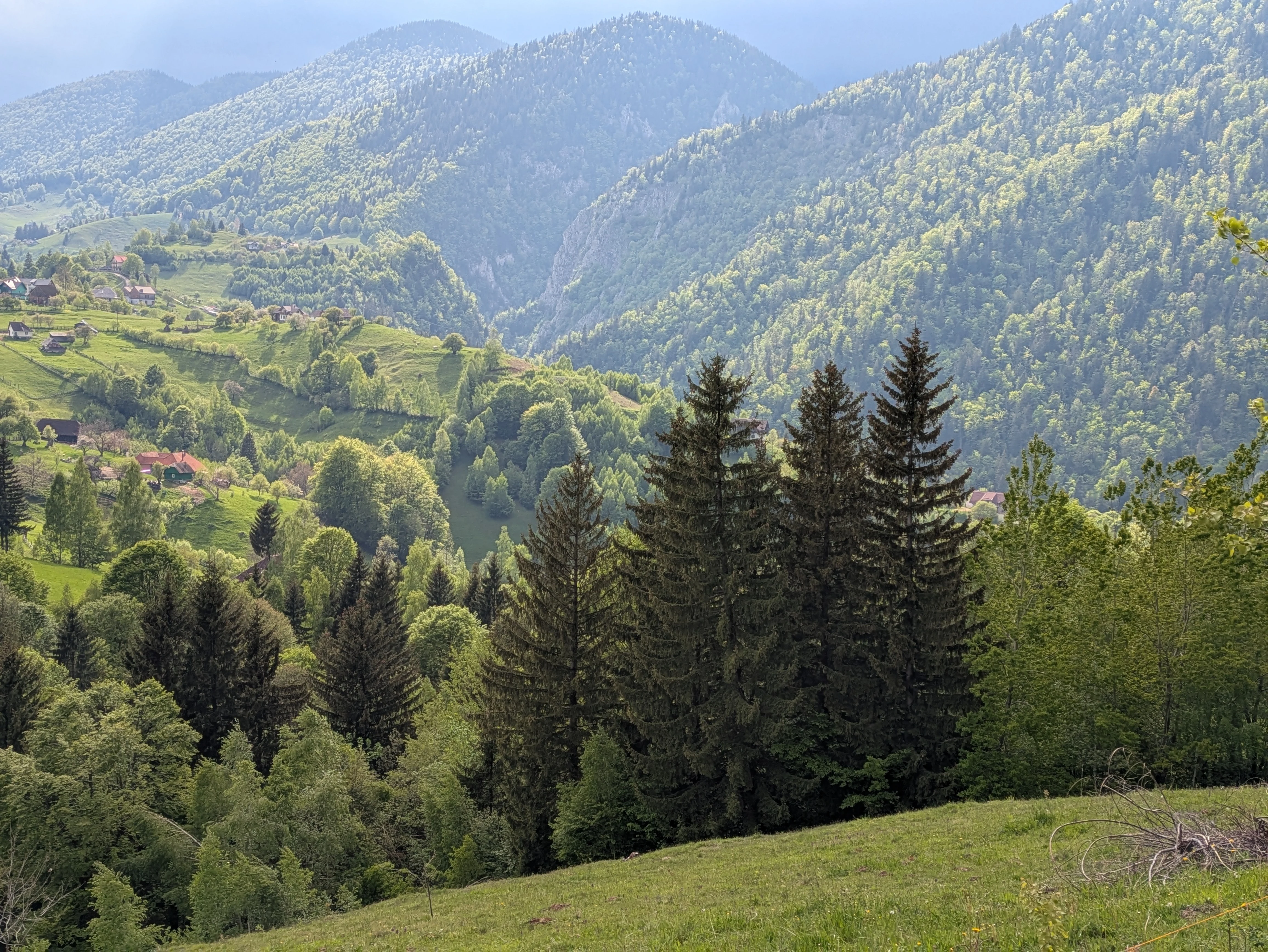 PXL 20260520 140022450, Magura Village, Transylvania, Romania — photo by Jim Bennett