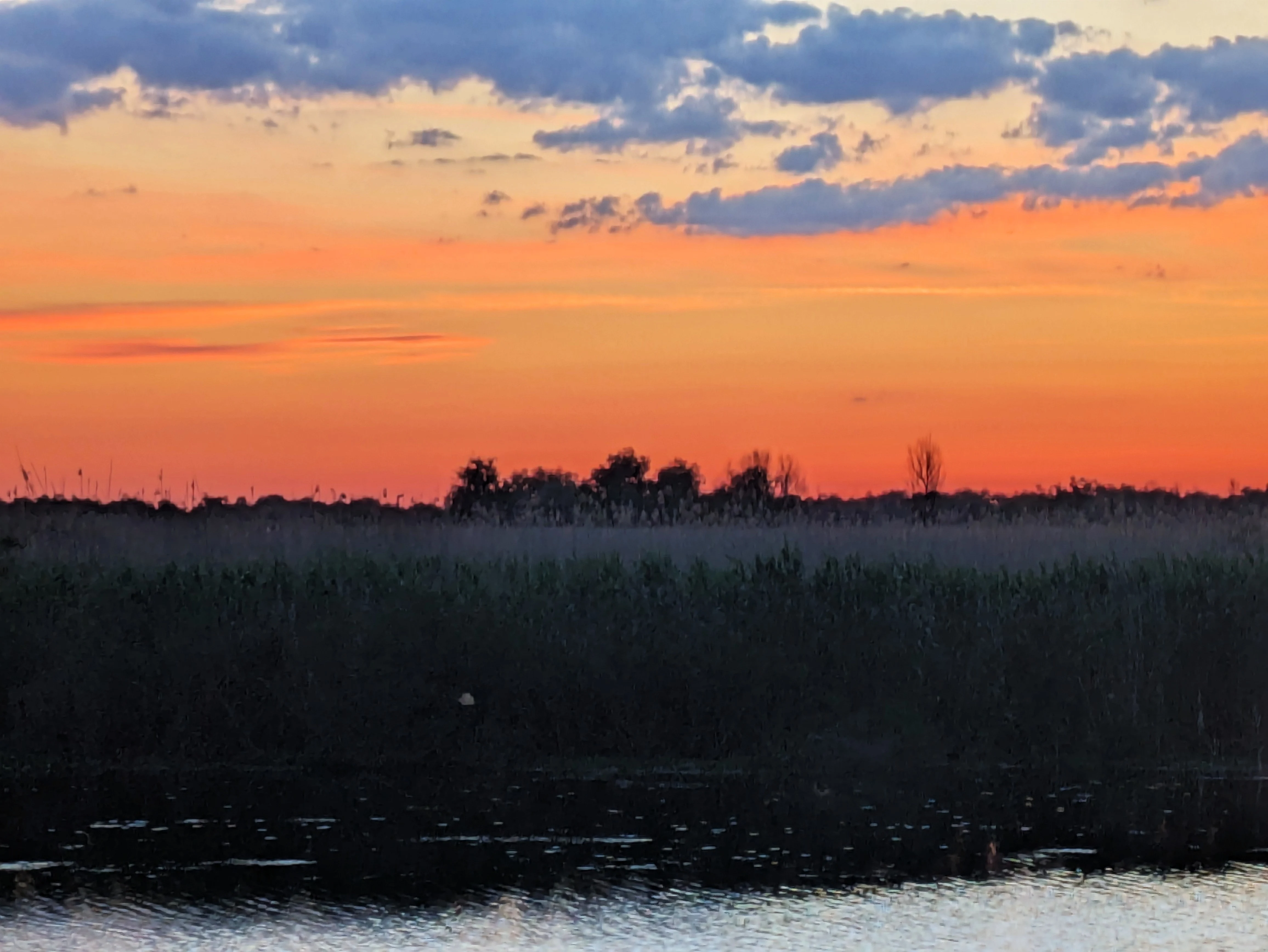 PXL 20260524 175003736, Danube Delta, Romania — photo by Jim Bennett