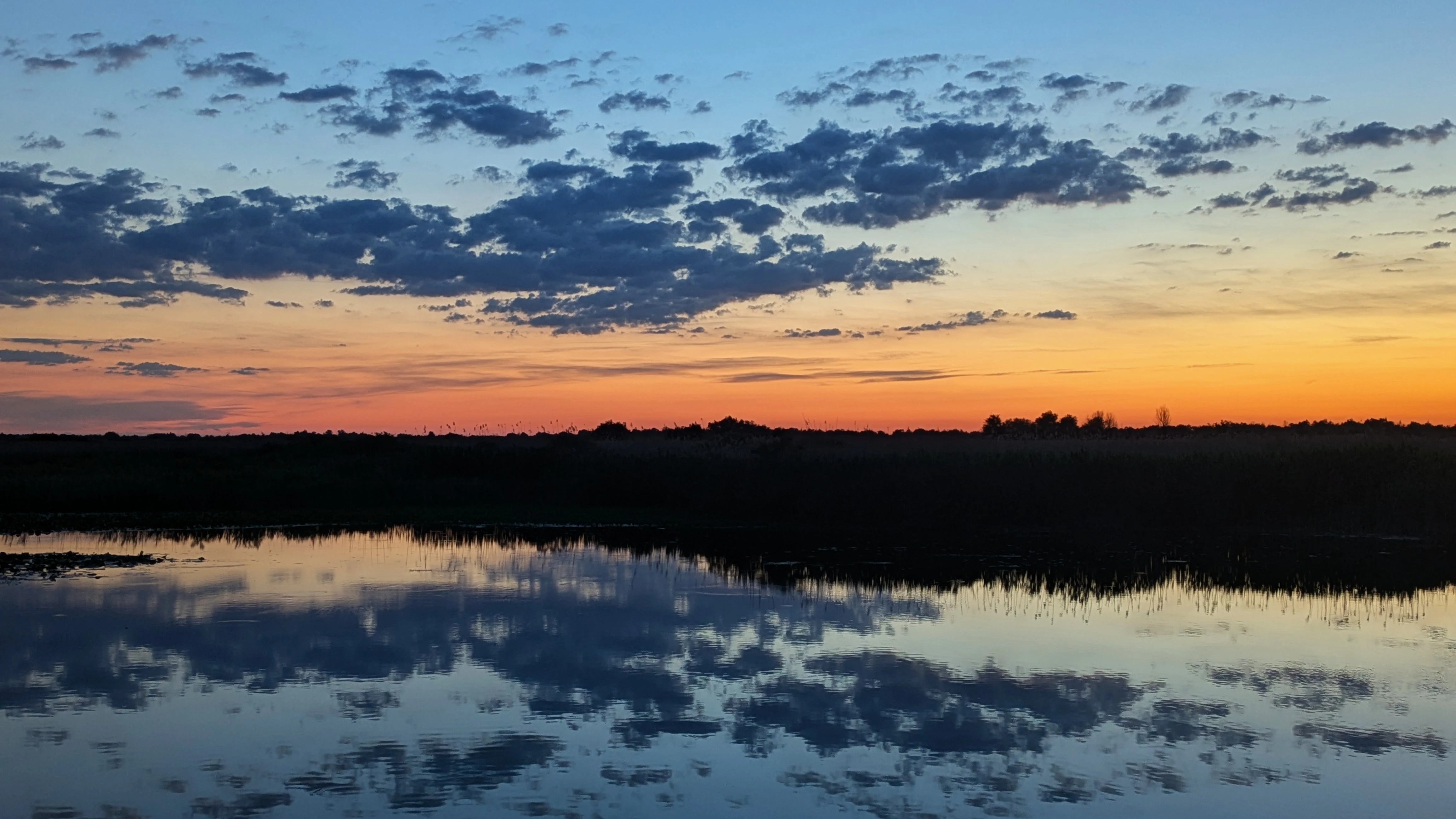 PXL 20260524 180505157, Danube Delta, Romania — photo by Jim Bennett