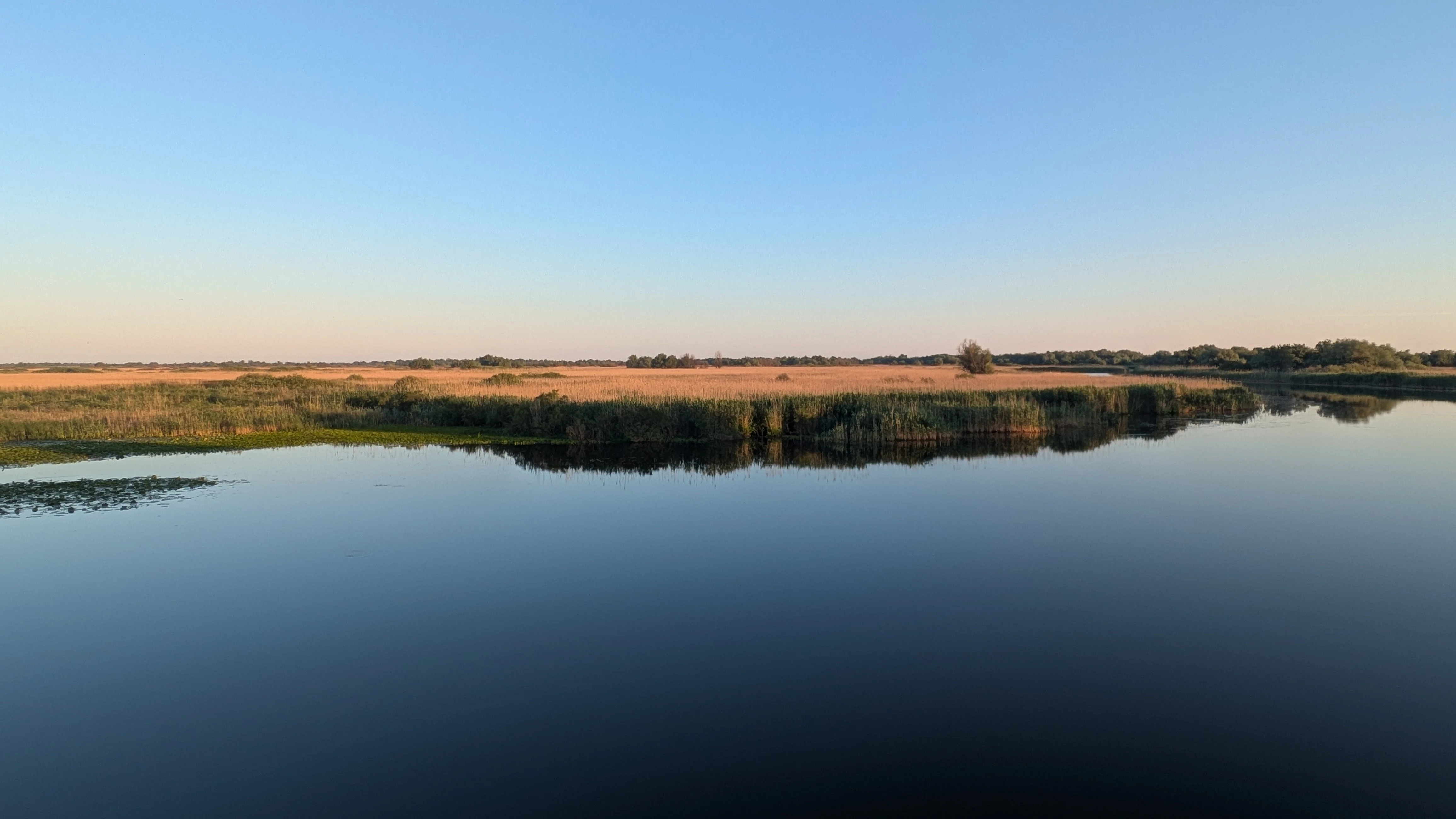 PXL 20260525 030048230, Danube Delta, Romania — photo by Jim Bennett