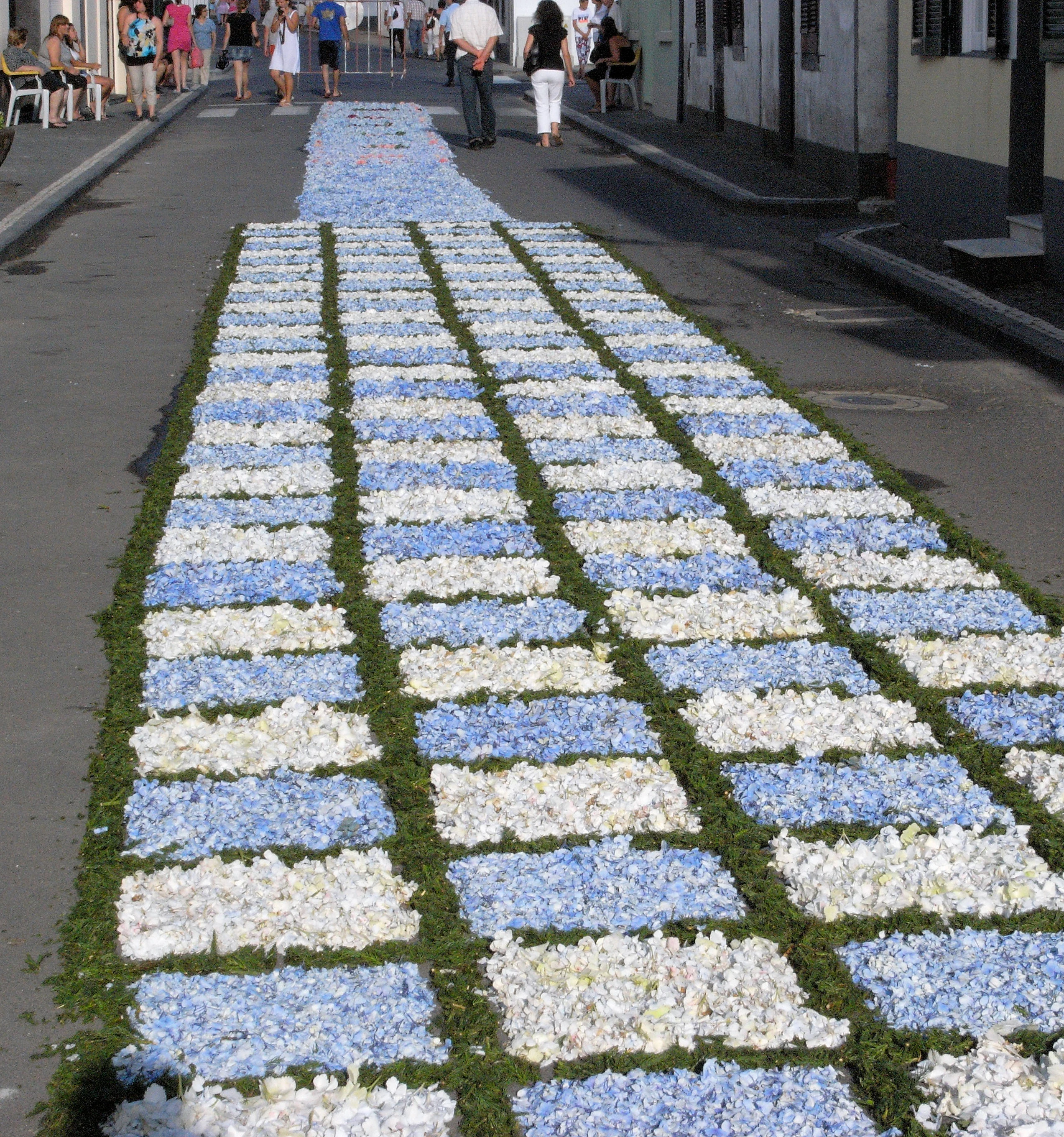 Floral carpet, Furnas, Azores, Portugal — photo by Jim Bennett
