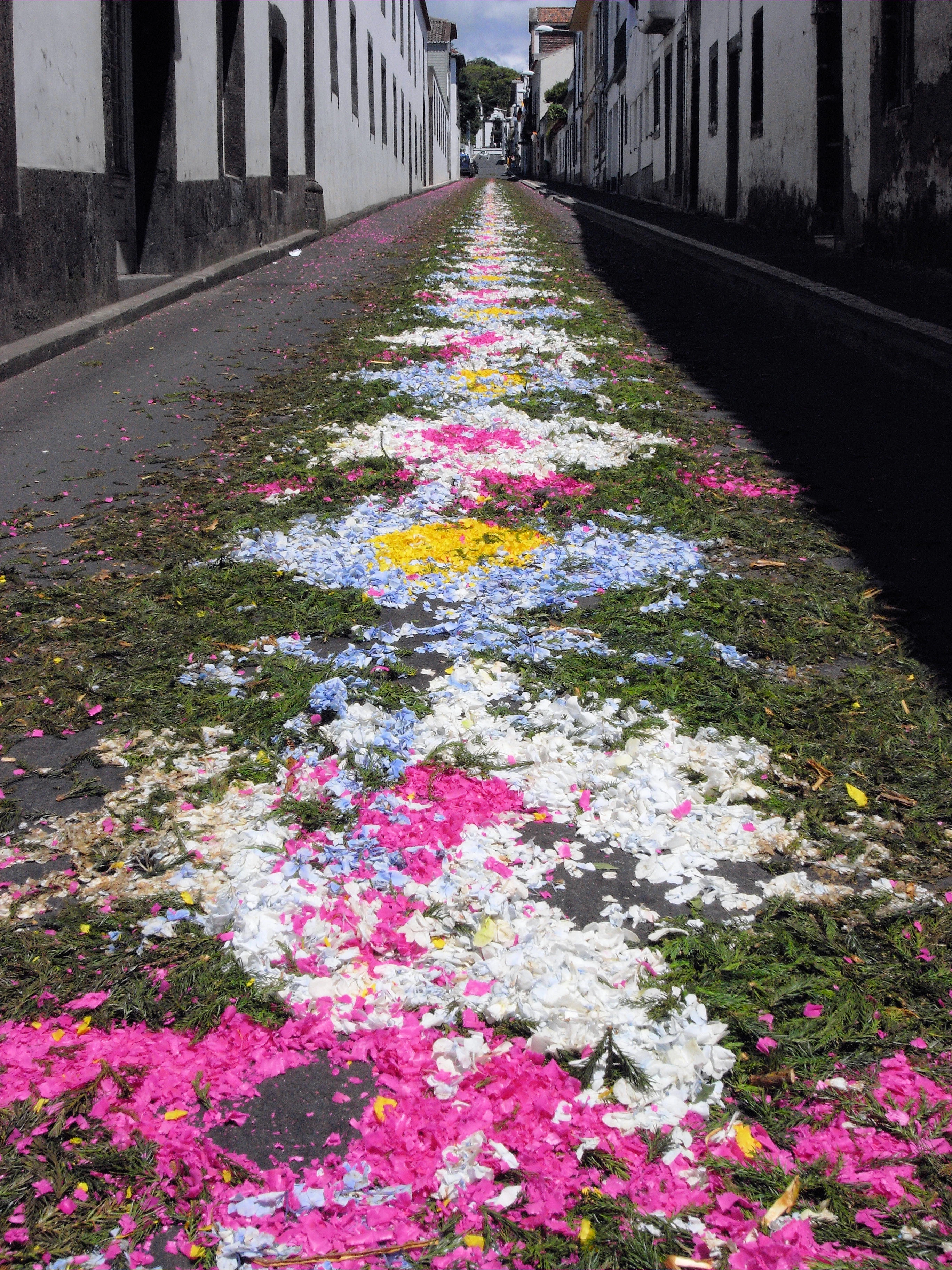 Street (after a festival), Ponta Delgado, Azores, Portugal — photo by Jim Bennett
