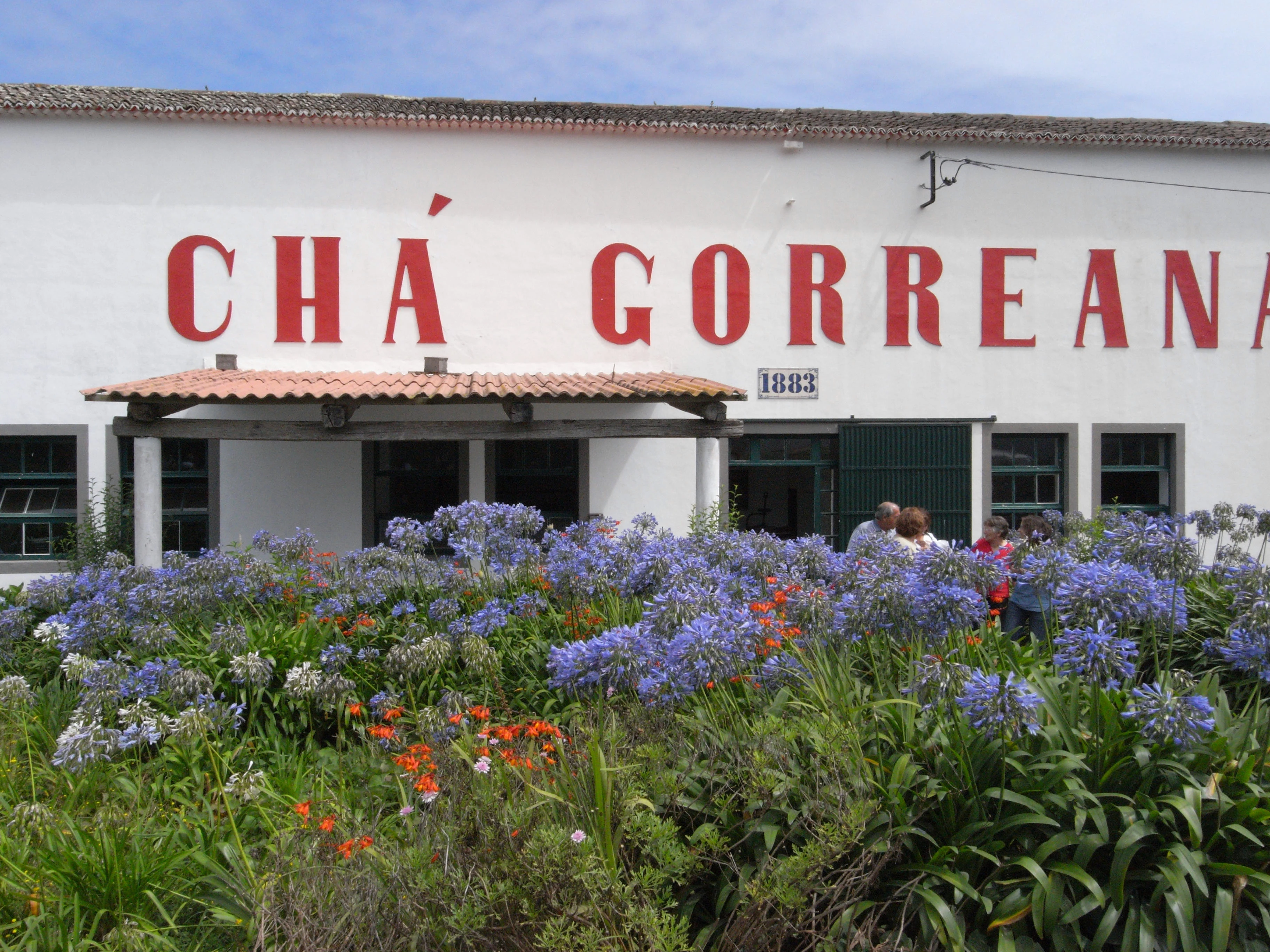 Tea0, Cha Gorreana tea plantation, Azores, Portugal — photo by Jim Bennett