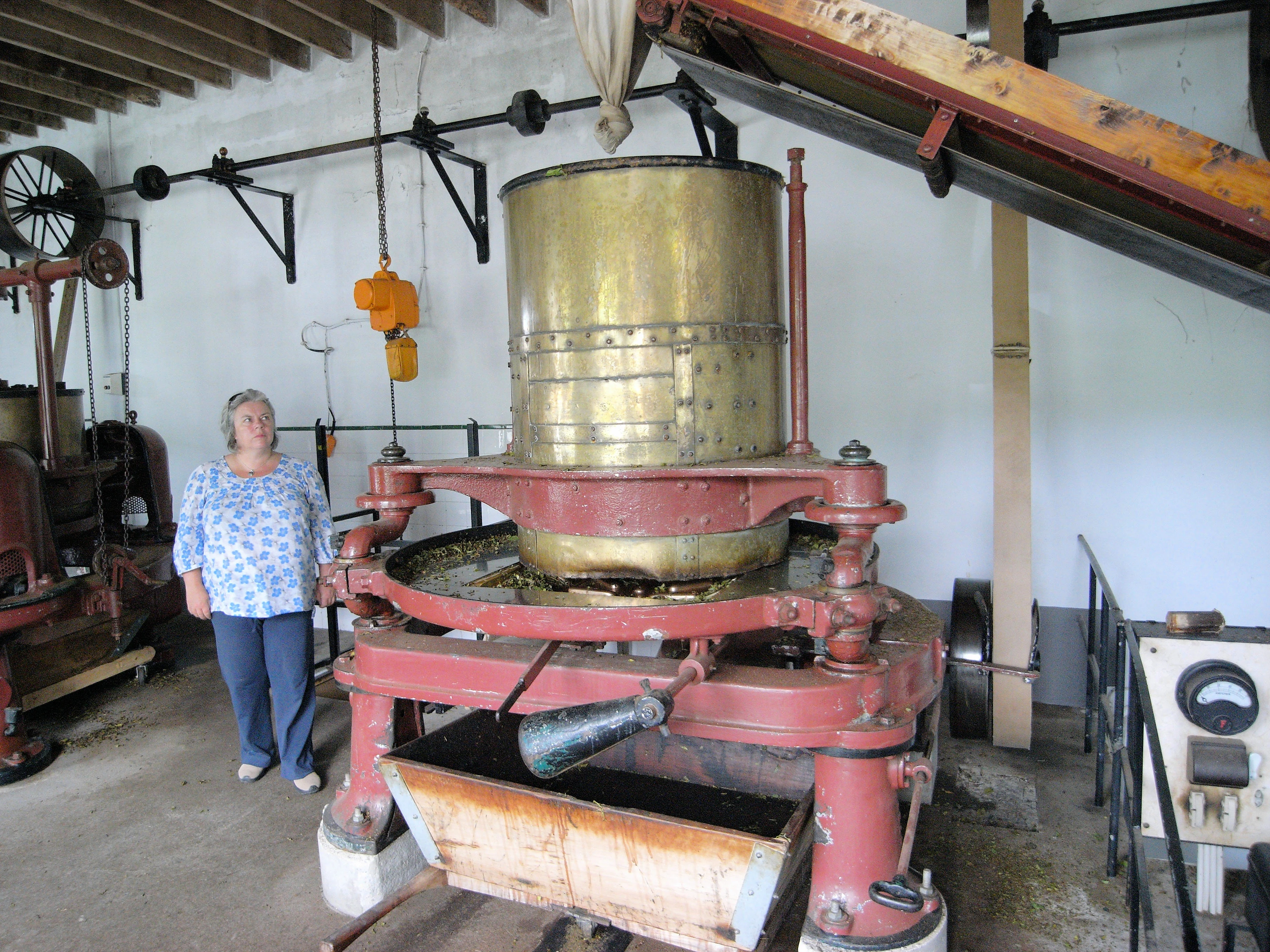 Tea machinery, Cha Gorreana tea plantation, Azores, Portugal — photo by Jim Bennett