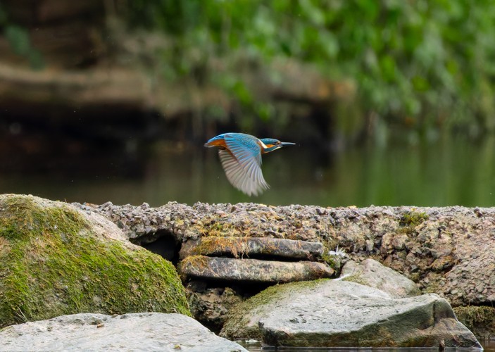 Photo from River Wye - 2024