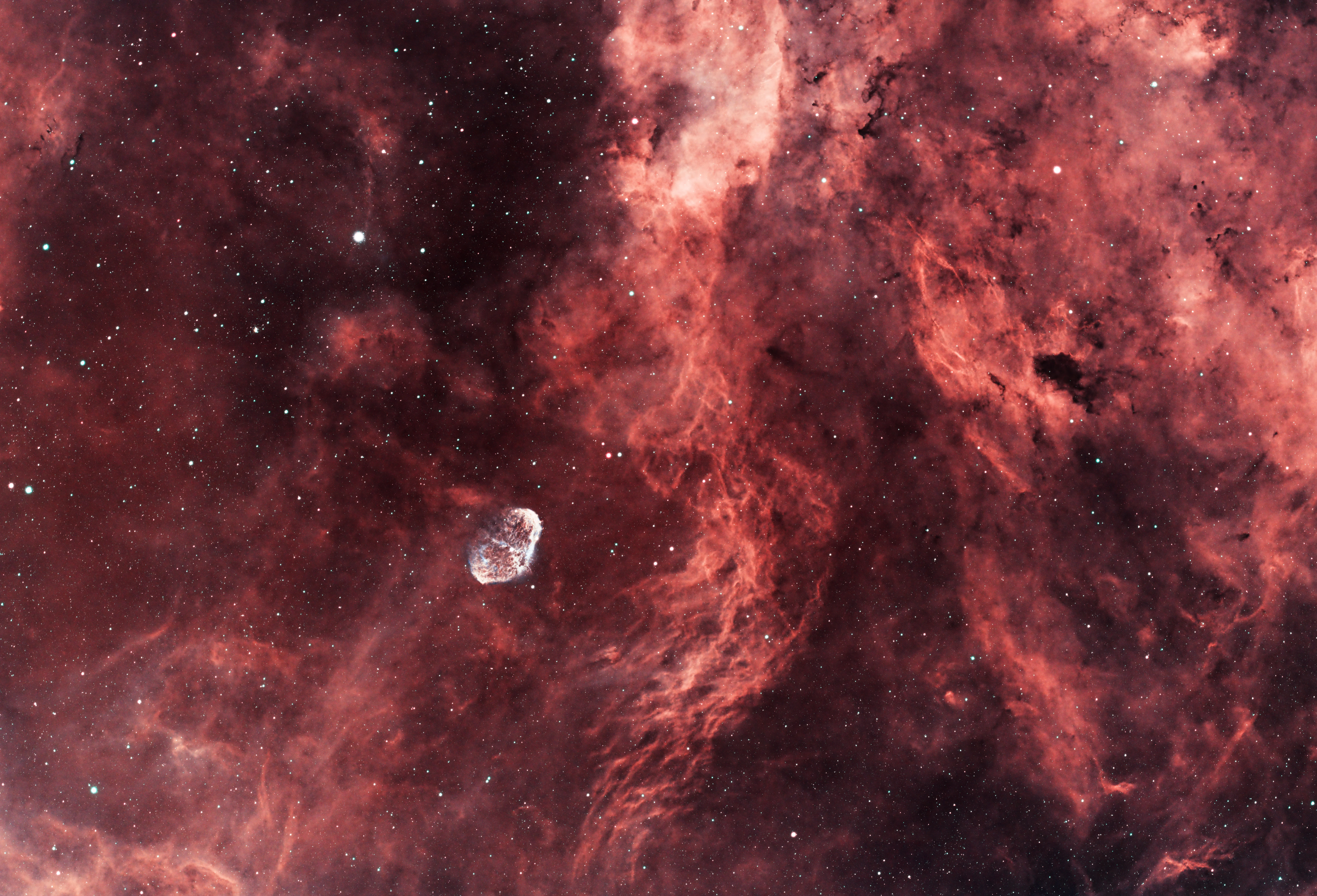 Crescent Nebula (Wide), Eling, UK — photo by Orlando Prugel-Bennett