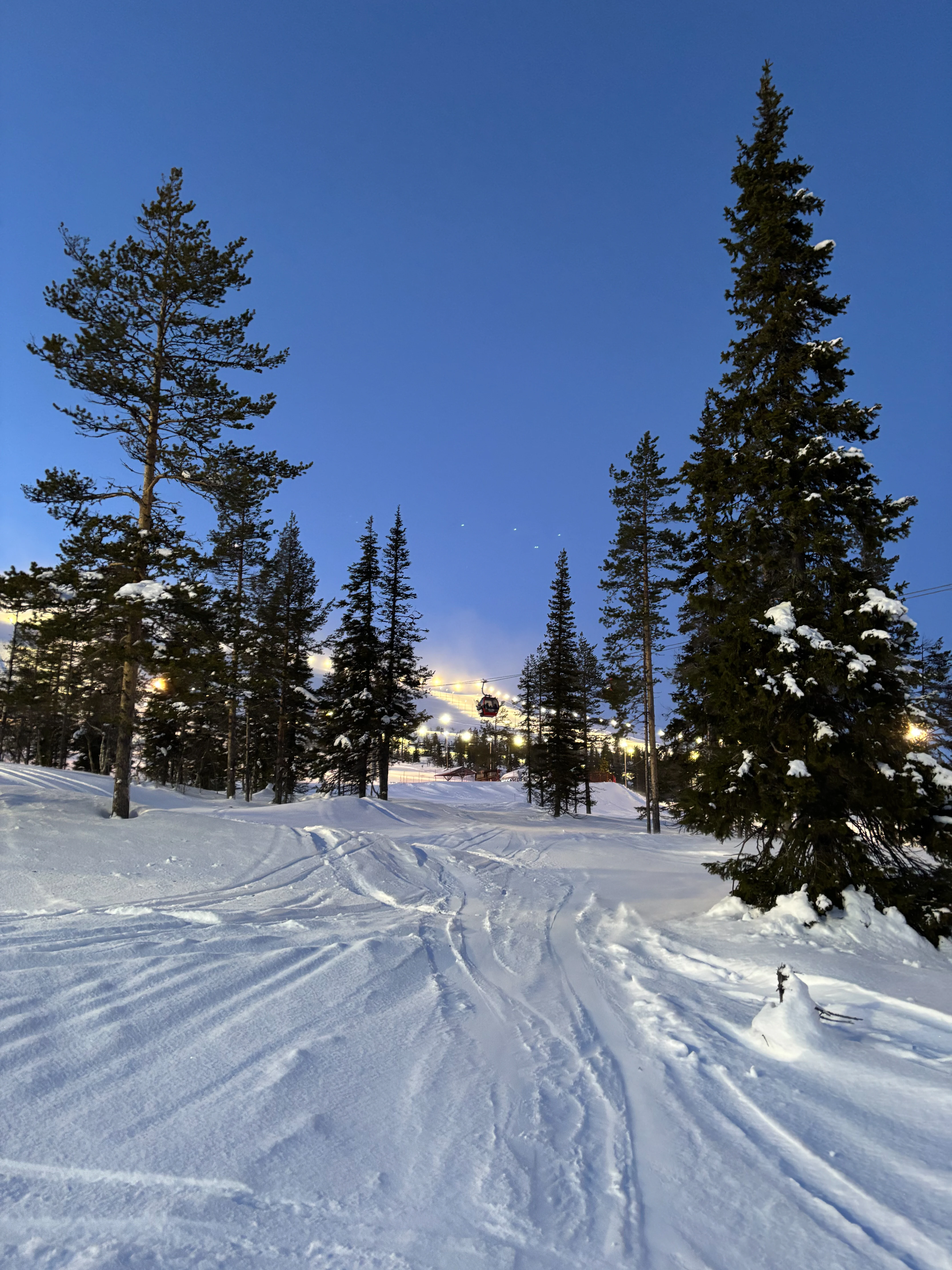 Slopes in the evening, Ÿllas, Finland — photo by Orlando Prugel-Bennett