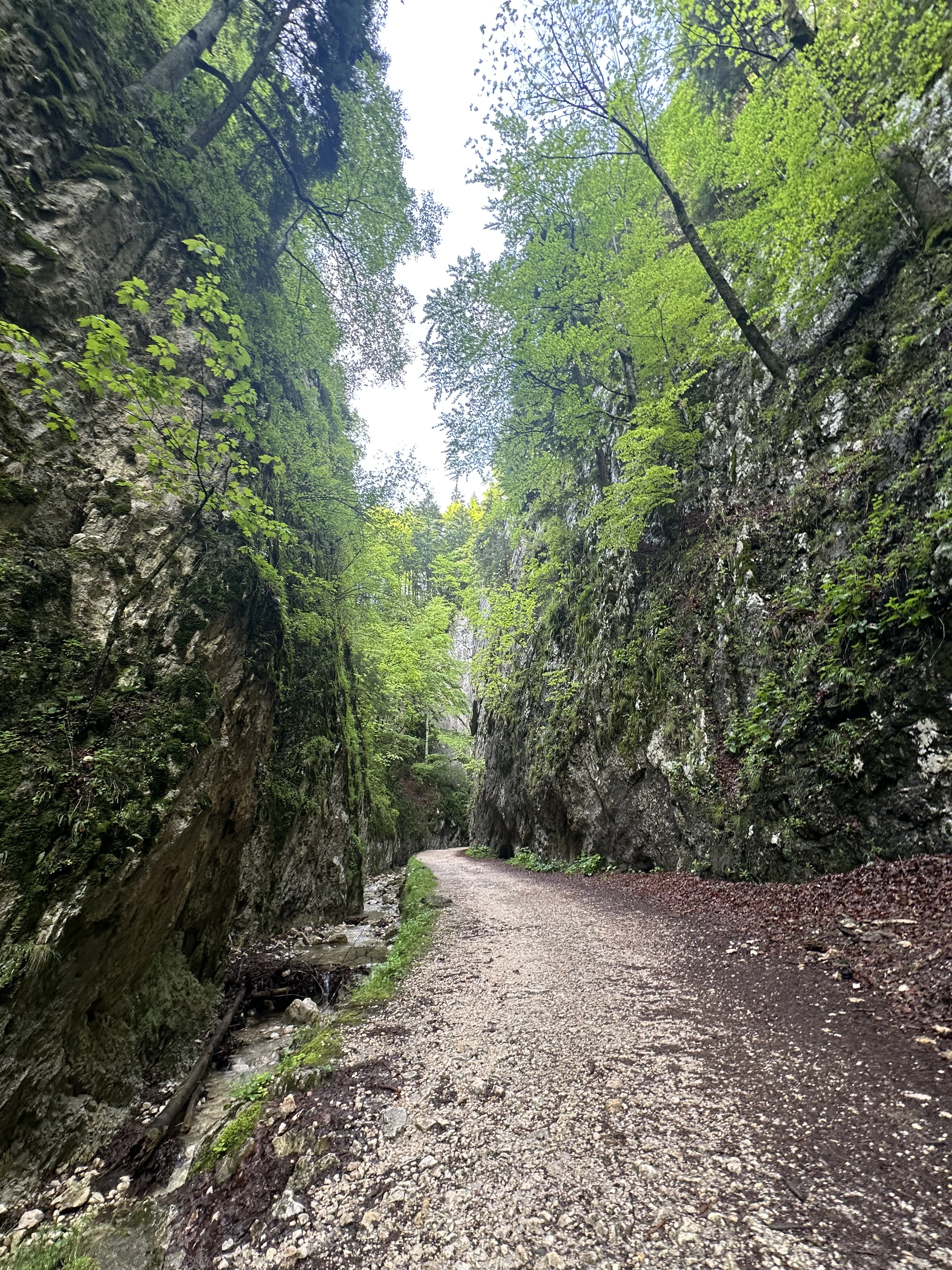 Piatra Craiului National Park, Transylvania, Romania — photo by Orlando Prugel-Bennett