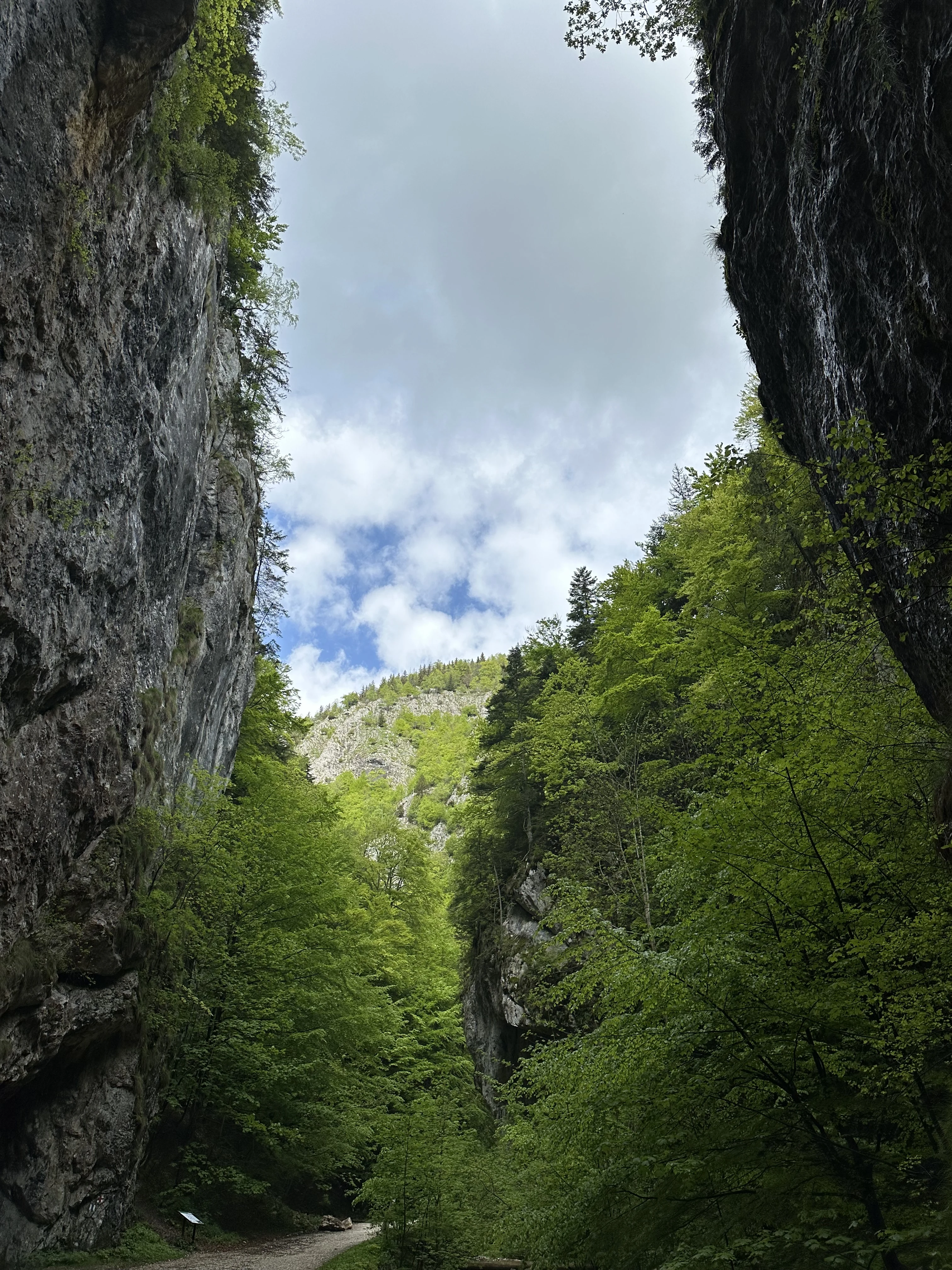 Piatra Craiului National Park, Transylvania, Romania — photo by Orlando Prugel-Bennett